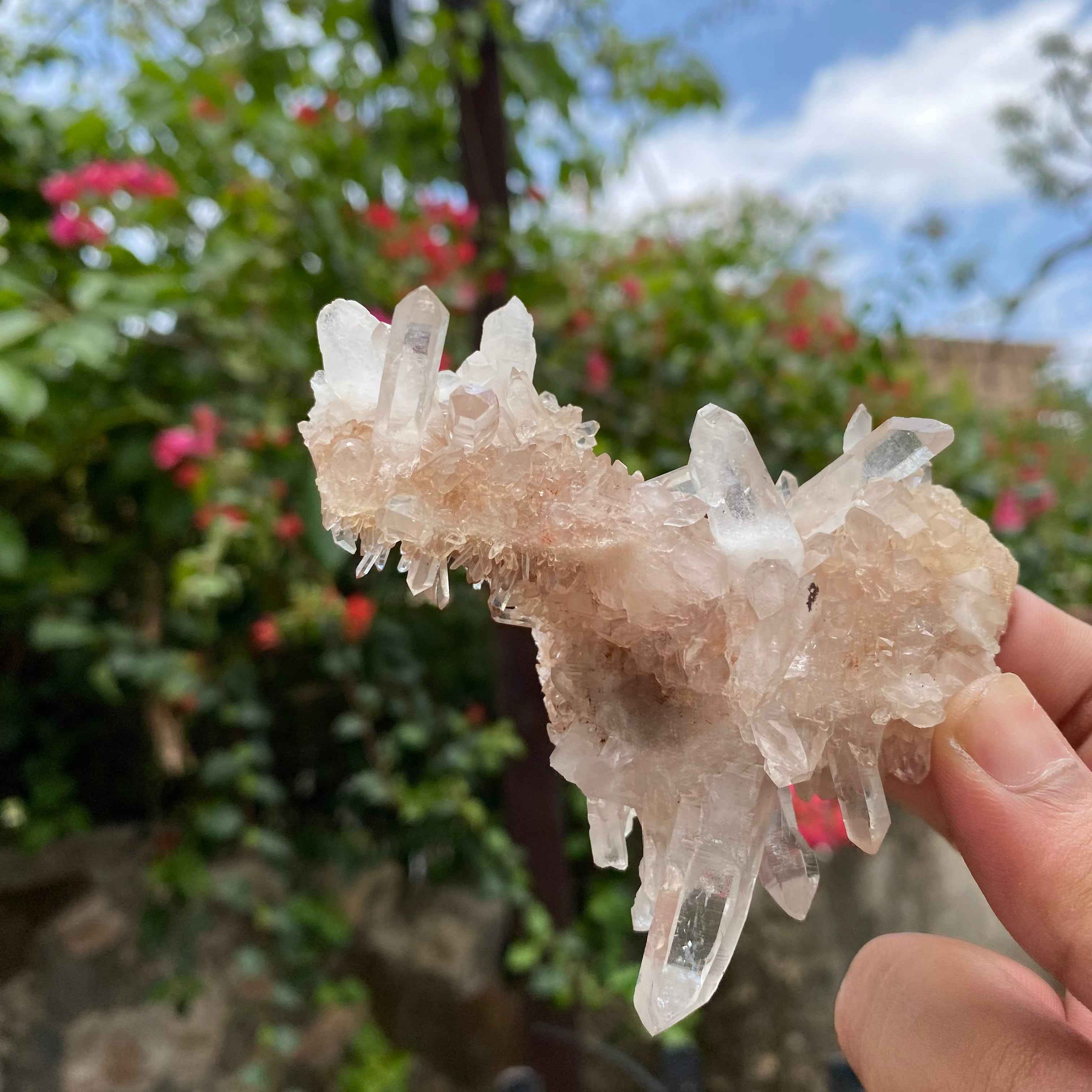 White Himalayan Quartz Crystal Cluster Decor Healing Display Energy Natural