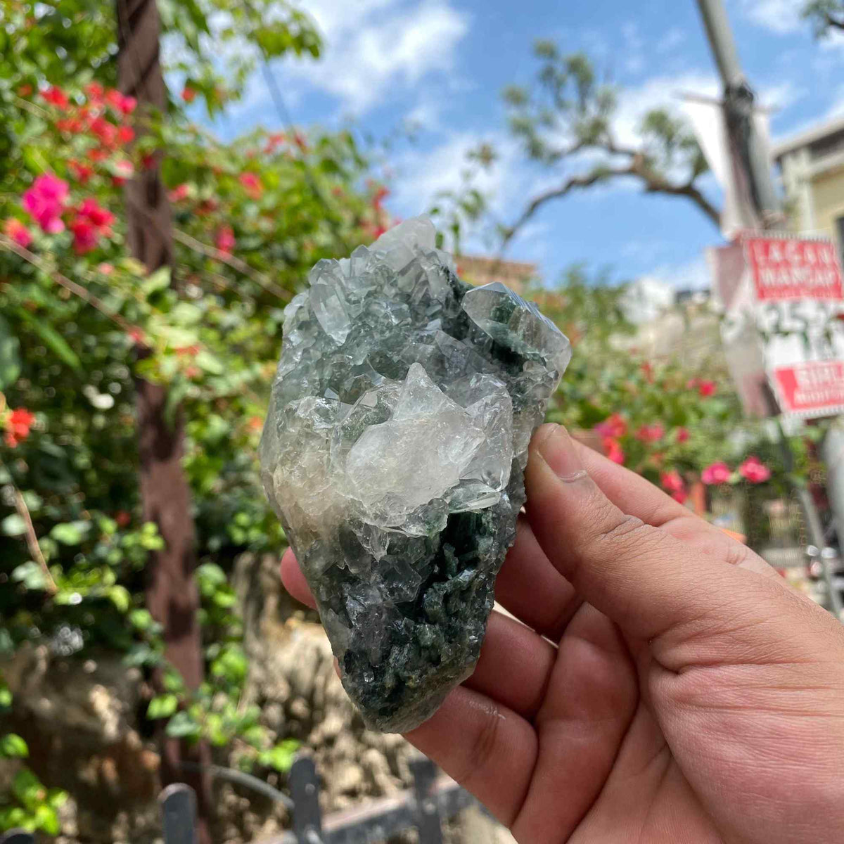 Himalayan Green Chlorite Quartz Crystal Cluster Healing Himalayan Display Energy Stone Piece