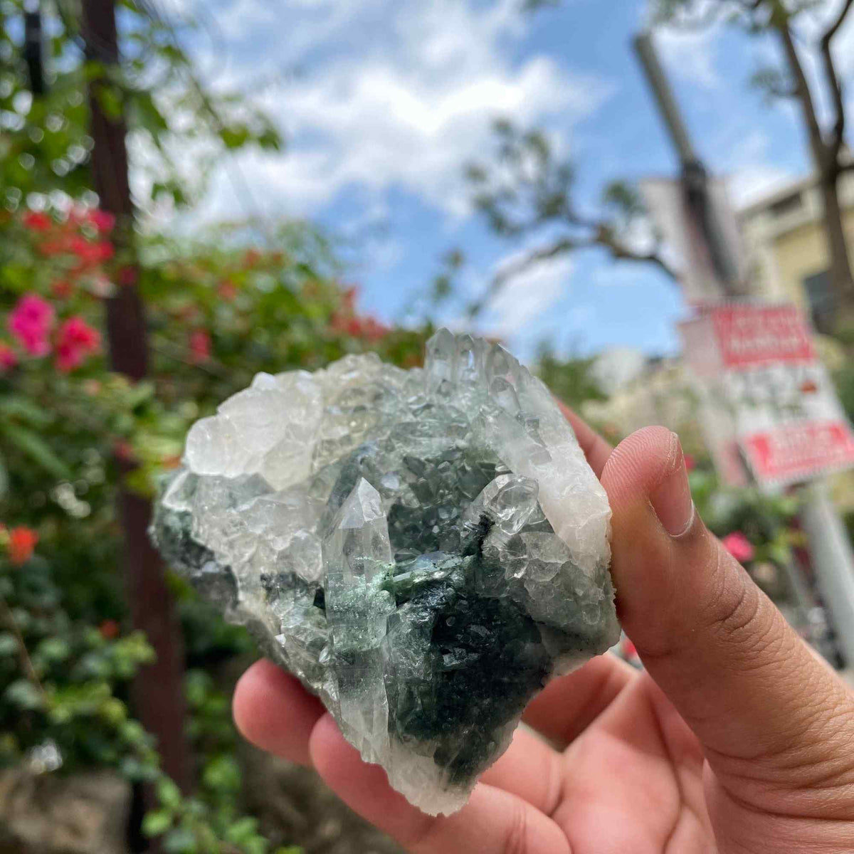 Himalayan Green Chlorite Quartz Crystal Cluster Healing Himalayan Display Energy Stone Piece