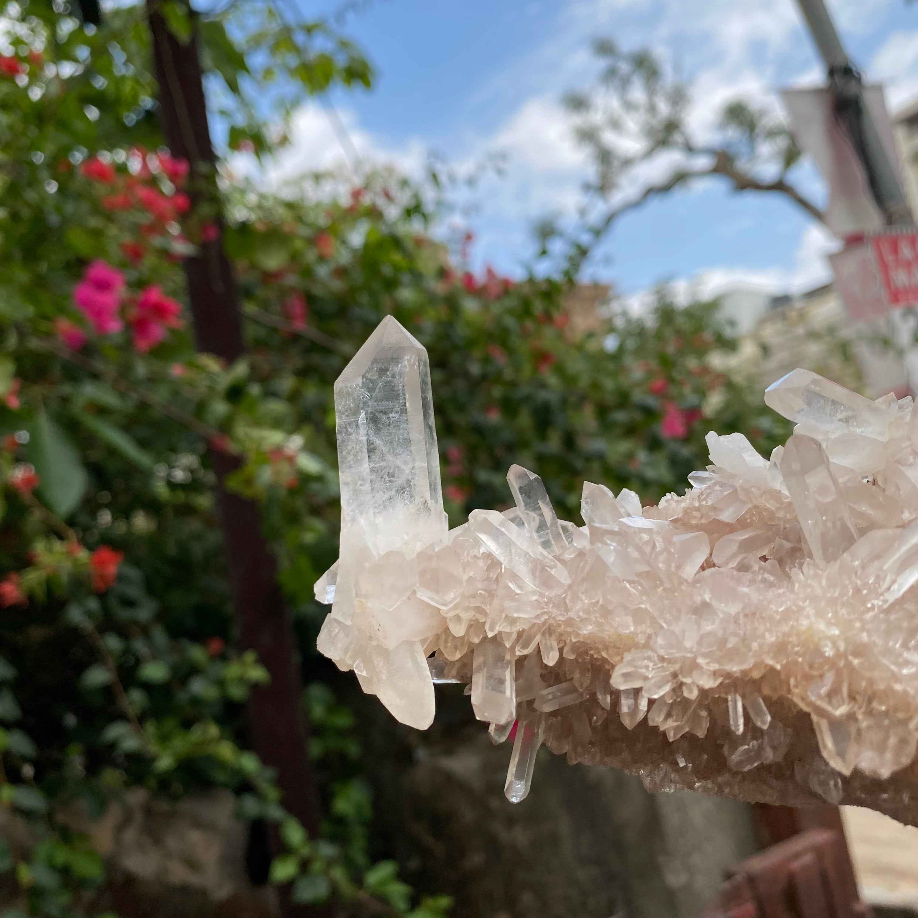 Pink Quartz Crystal Cluster Raw Himalayan Healing Energy Display Natural