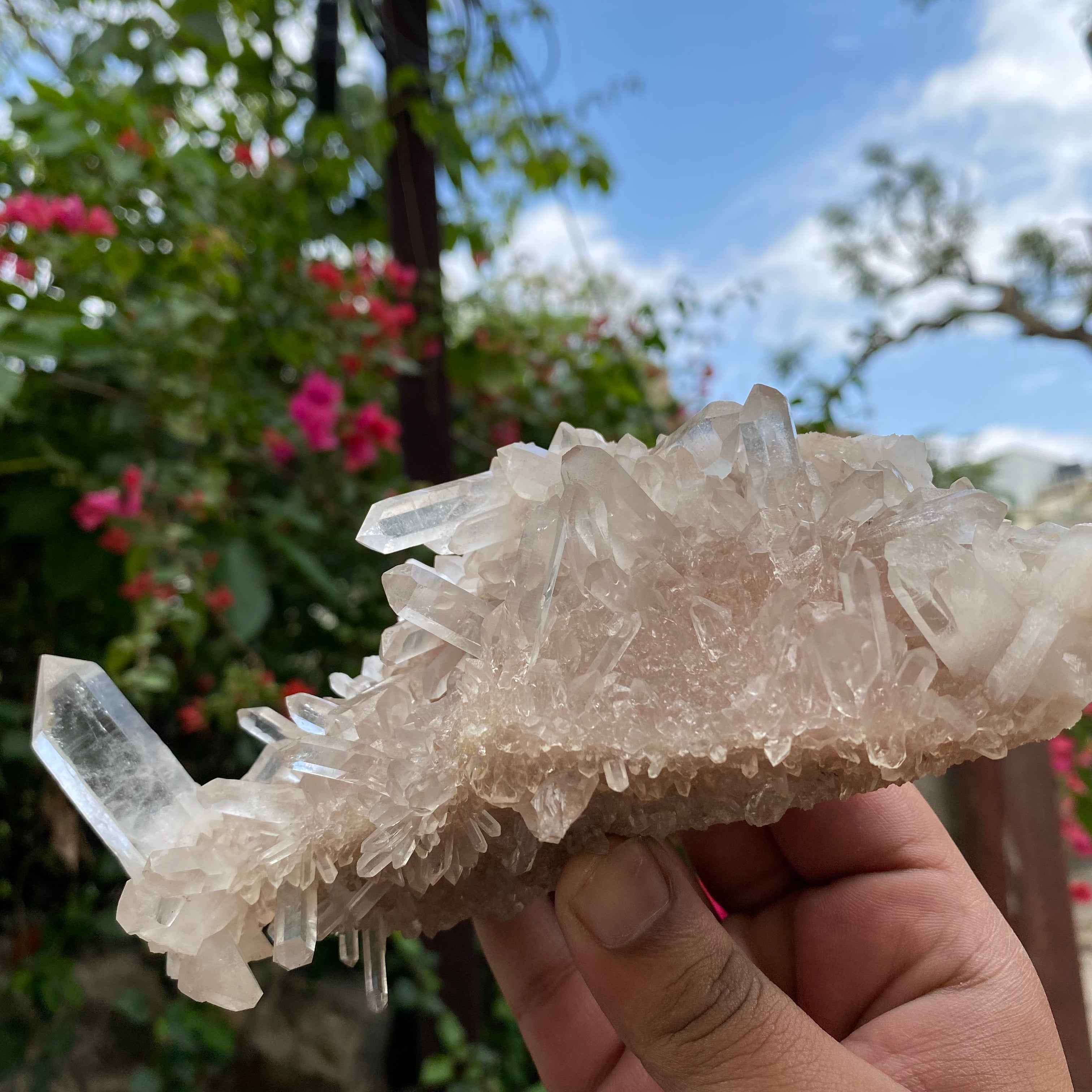 Pink Quartz Crystal Cluster Raw Himalayan Healing Energy Display Natural