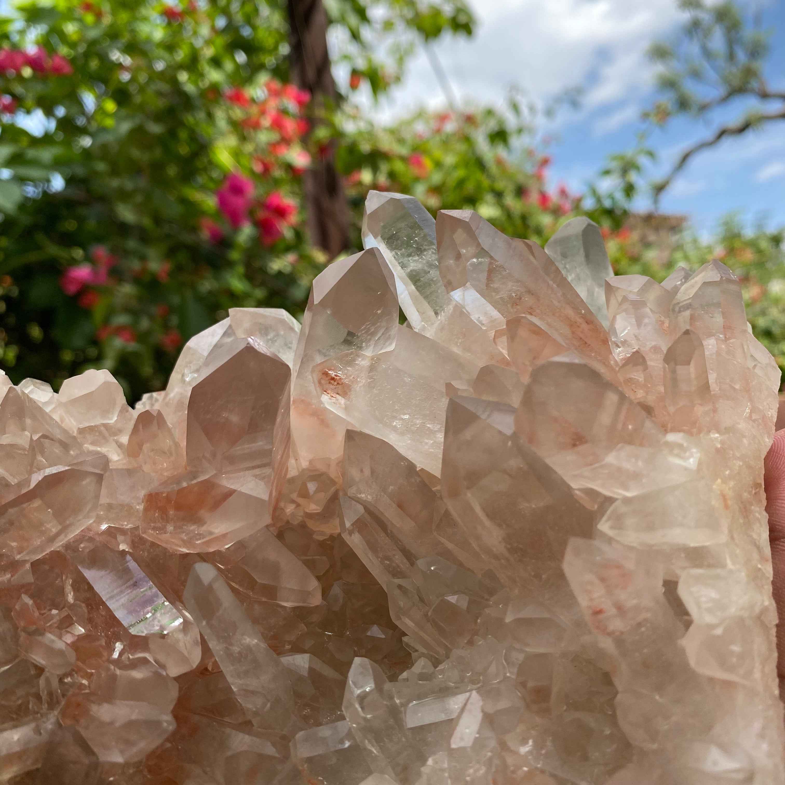 Pink Samadhi Quartz Crystal Cluster Healing Energy Himalayan Display Stone