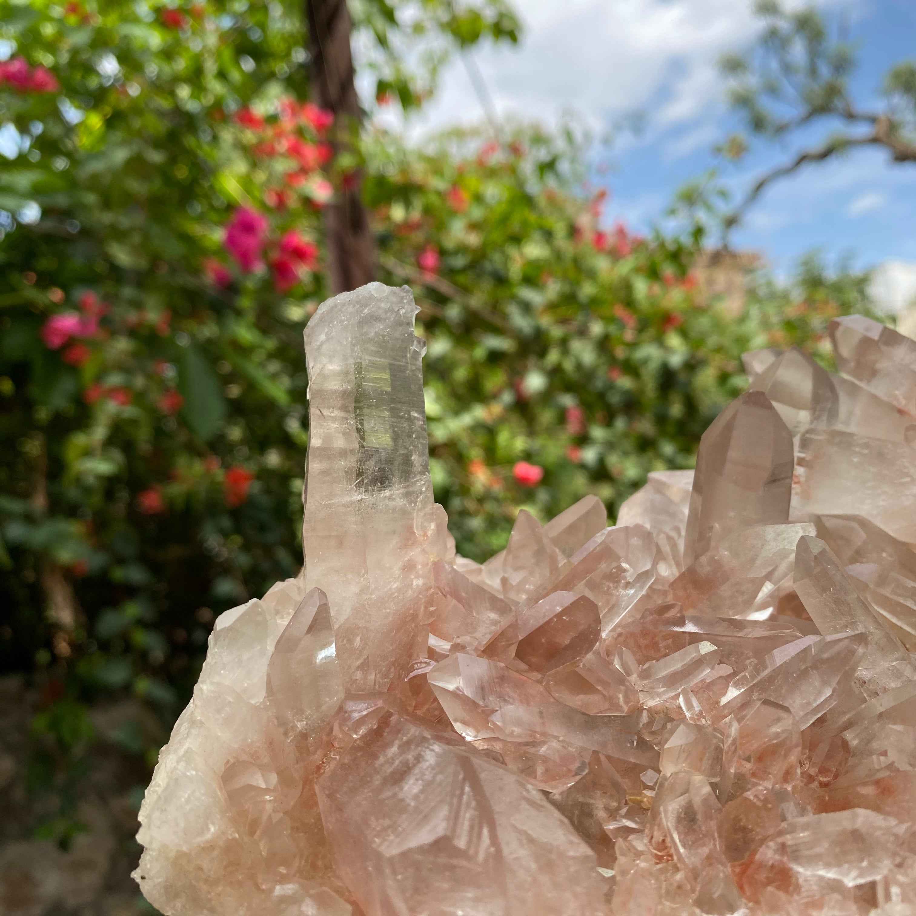 Pink Samadhi Quartz Crystal Cluster Healing Energy Himalayan Display Stone