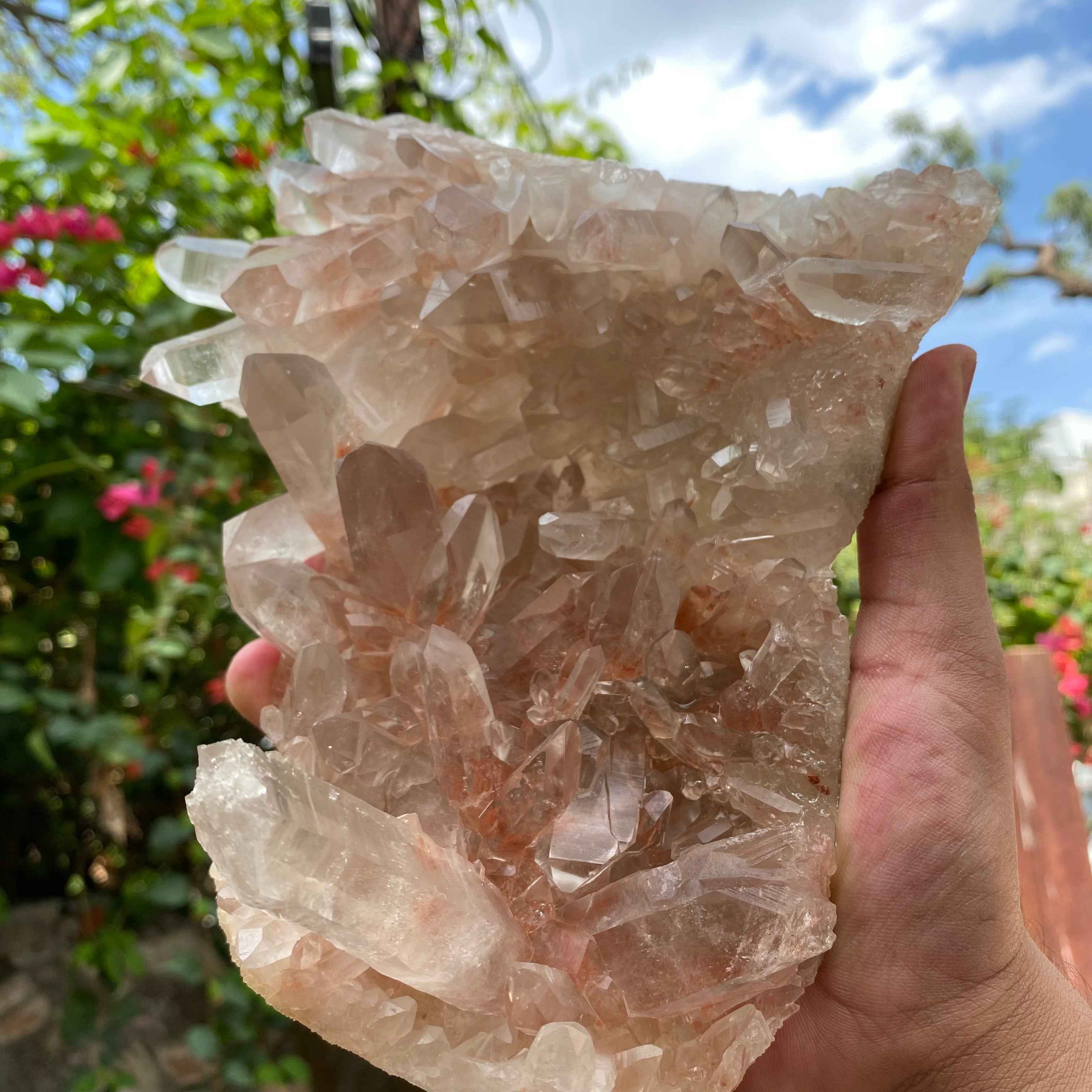 Pink Samadhi Quartz Crystal Cluster Healing Energy Himalayan Display Stone
