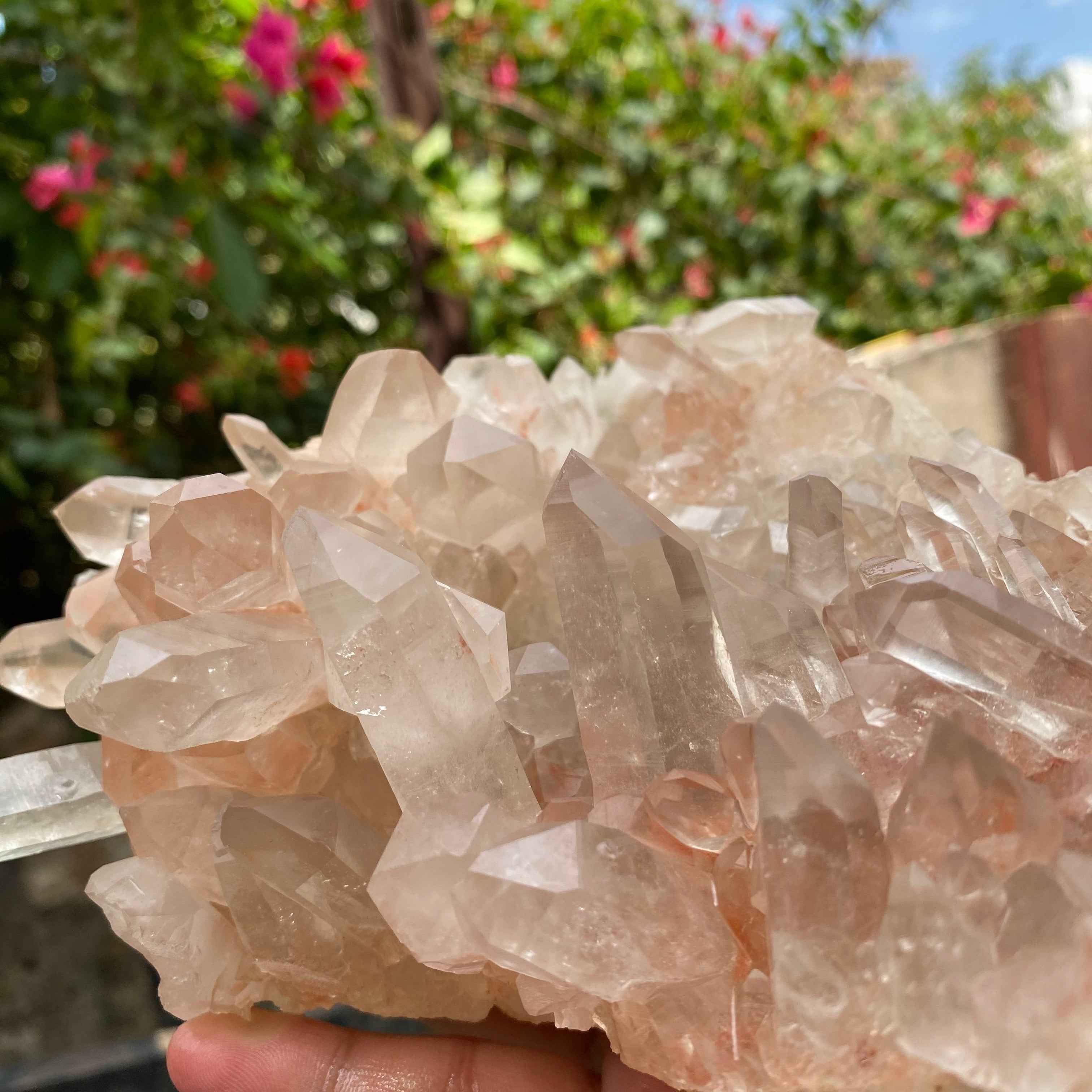 Pink Samadhi Quartz Crystal Cluster Healing Energy Himalayan Display Stone