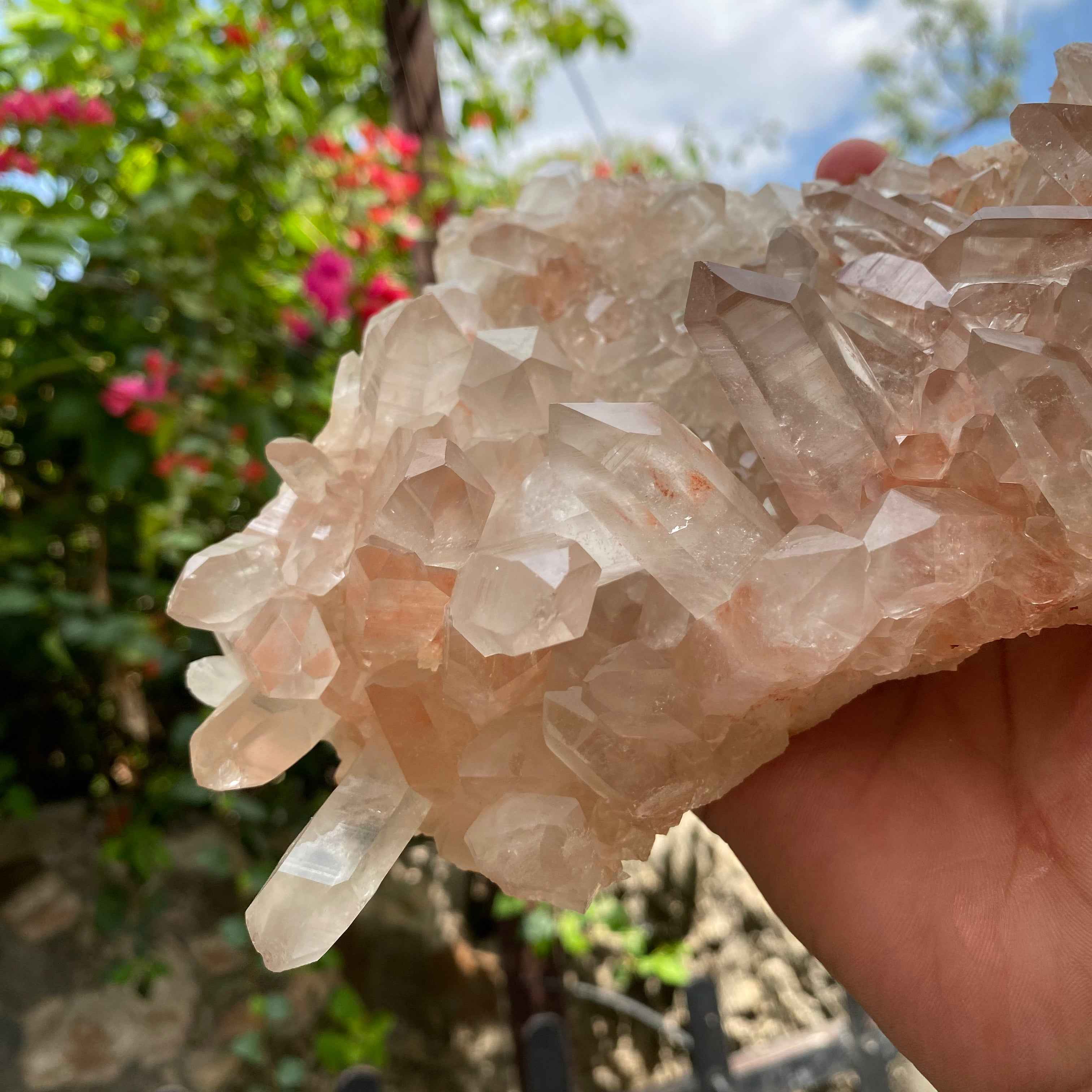 Pink Samadhi Quartz Crystal Cluster Healing Energy Himalayan Display Stone