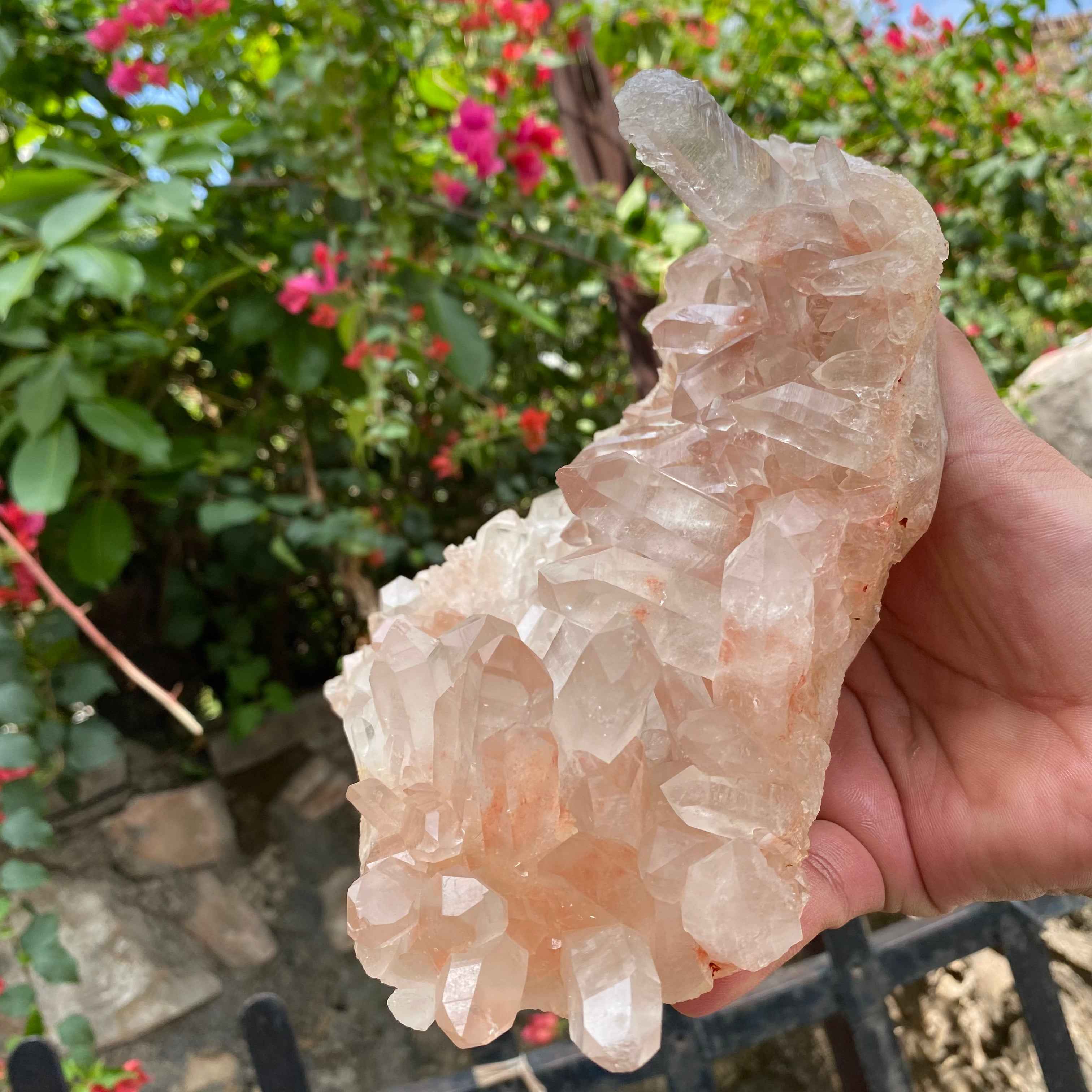 Pink Samadhi Quartz Crystal Cluster Healing Energy Himalayan Display Stone