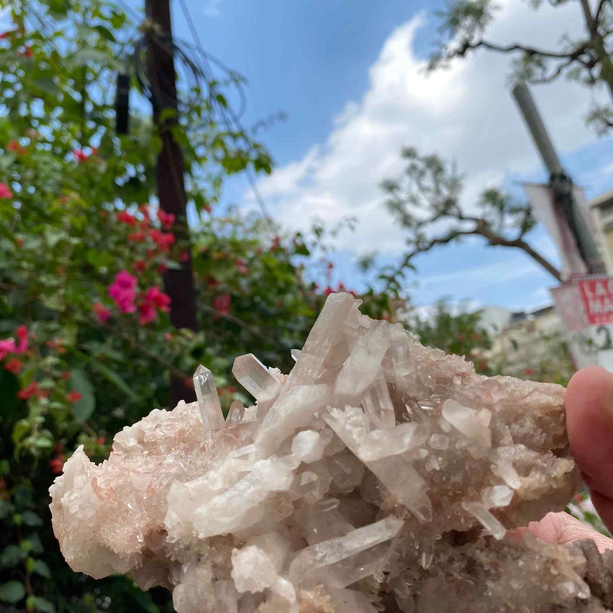 Pink Quartz Crystal Cluster Raw Himalayan Healing Energy Display Natural