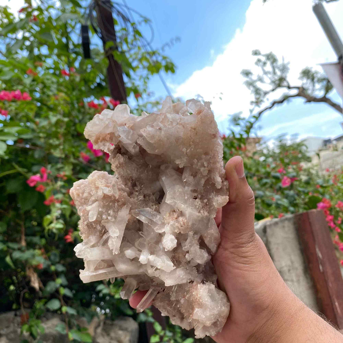 Pink Quartz Crystal Cluster Raw Himalayan Healing Energy Display Natural