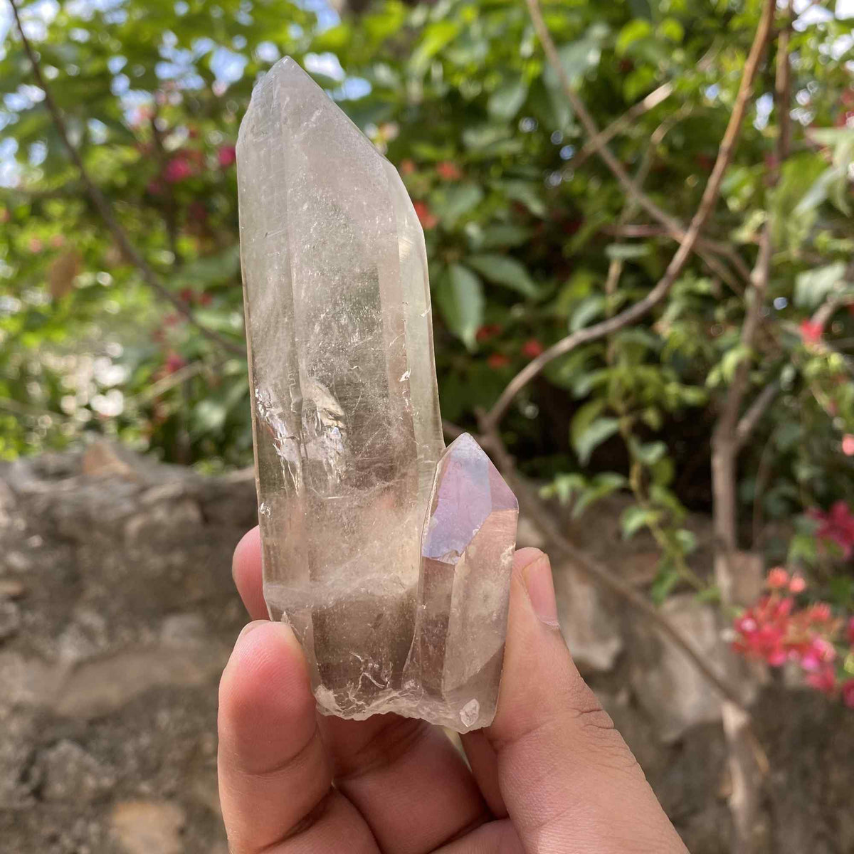 171g Twin Point Himalayan Smoky Quartz Natural Cluster Collector Specimen