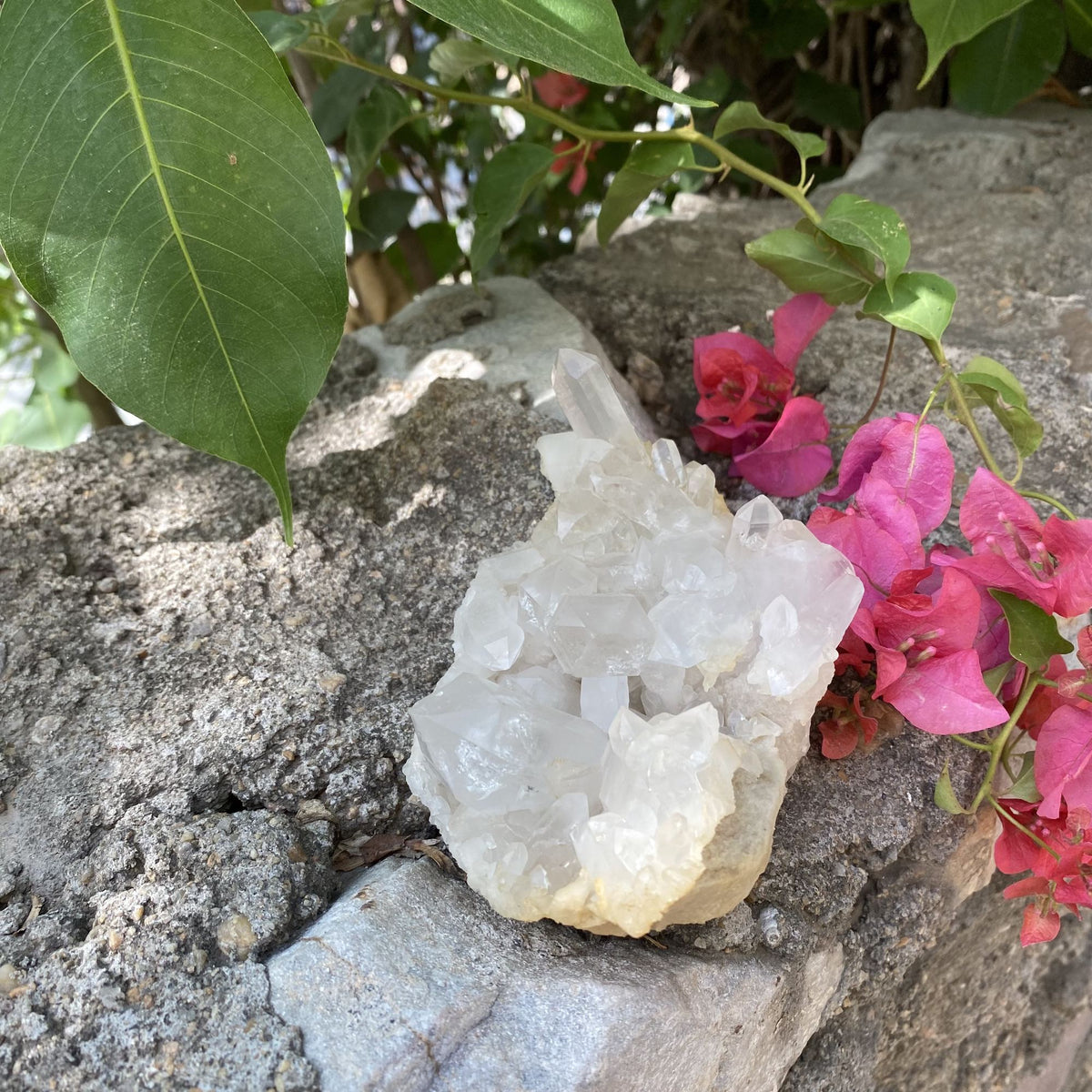 Natural Himalayan White Quartz Cluster Raw Mineral Specimen