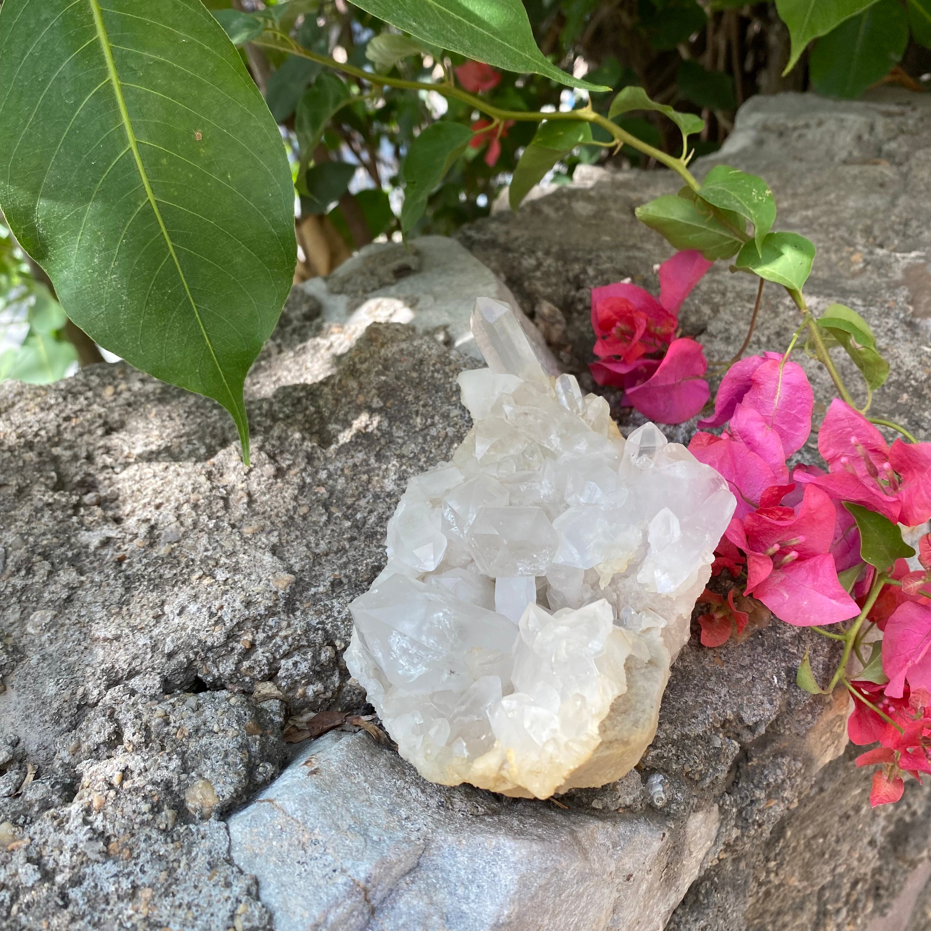 White Natural Himalayan White Quartz Crystal Cluster Healing Energy Specimen