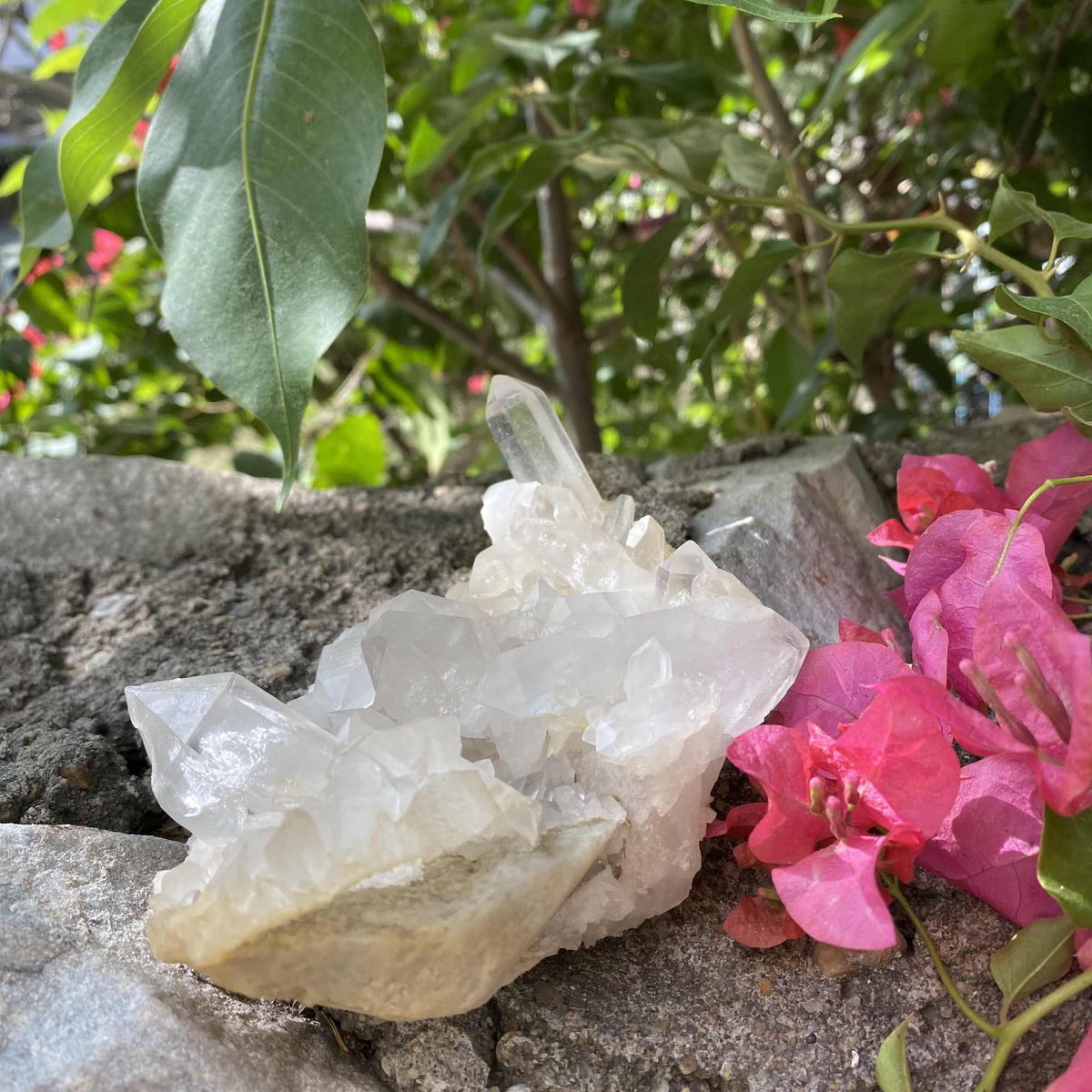 Natural Himalayan White Quartz Cluster Raw Mineral Specimen