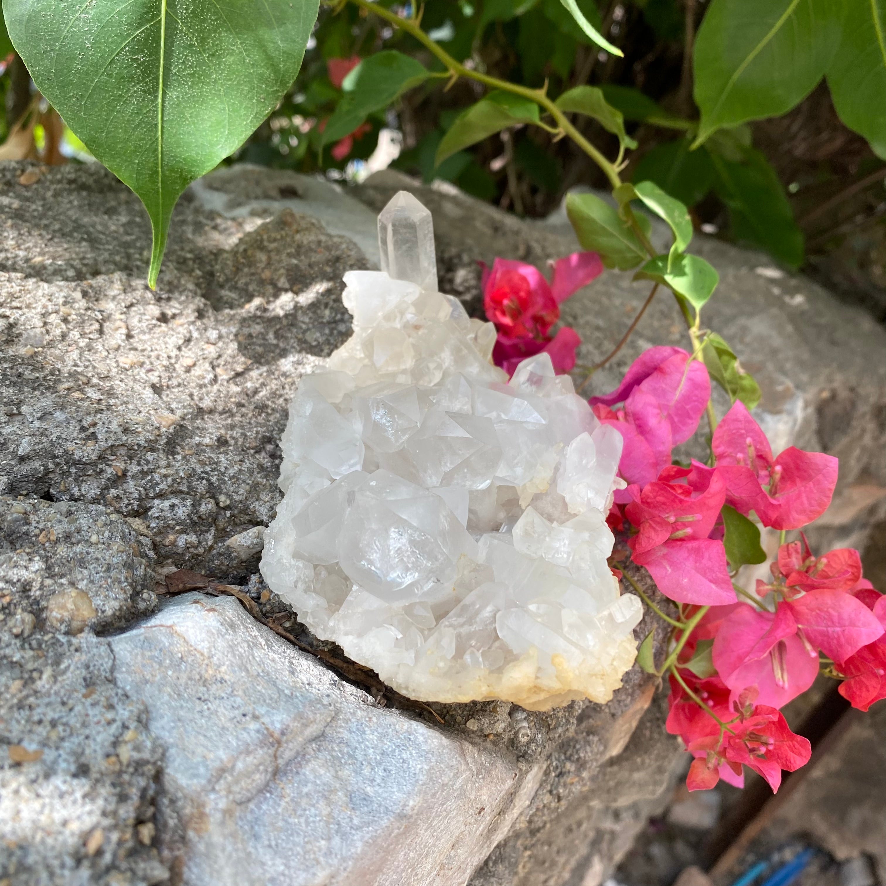 White Natural Himalayan White Quartz Crystal Cluster Healing Energy Specimen