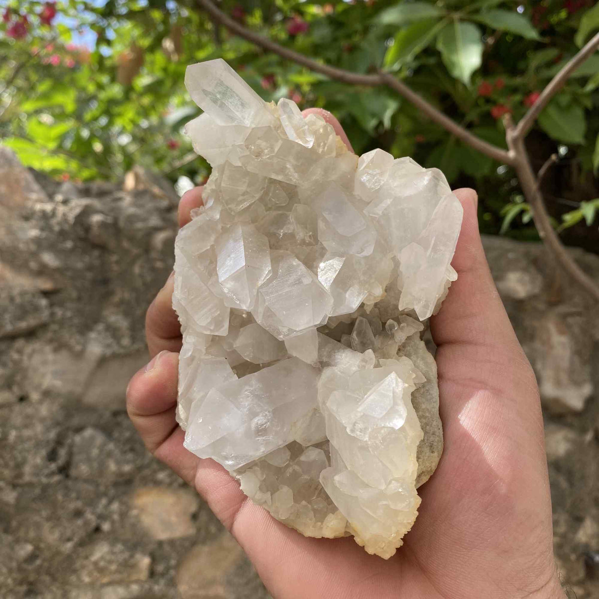 Natural Himalayan White Quartz Cluster Raw Mineral Specimen
