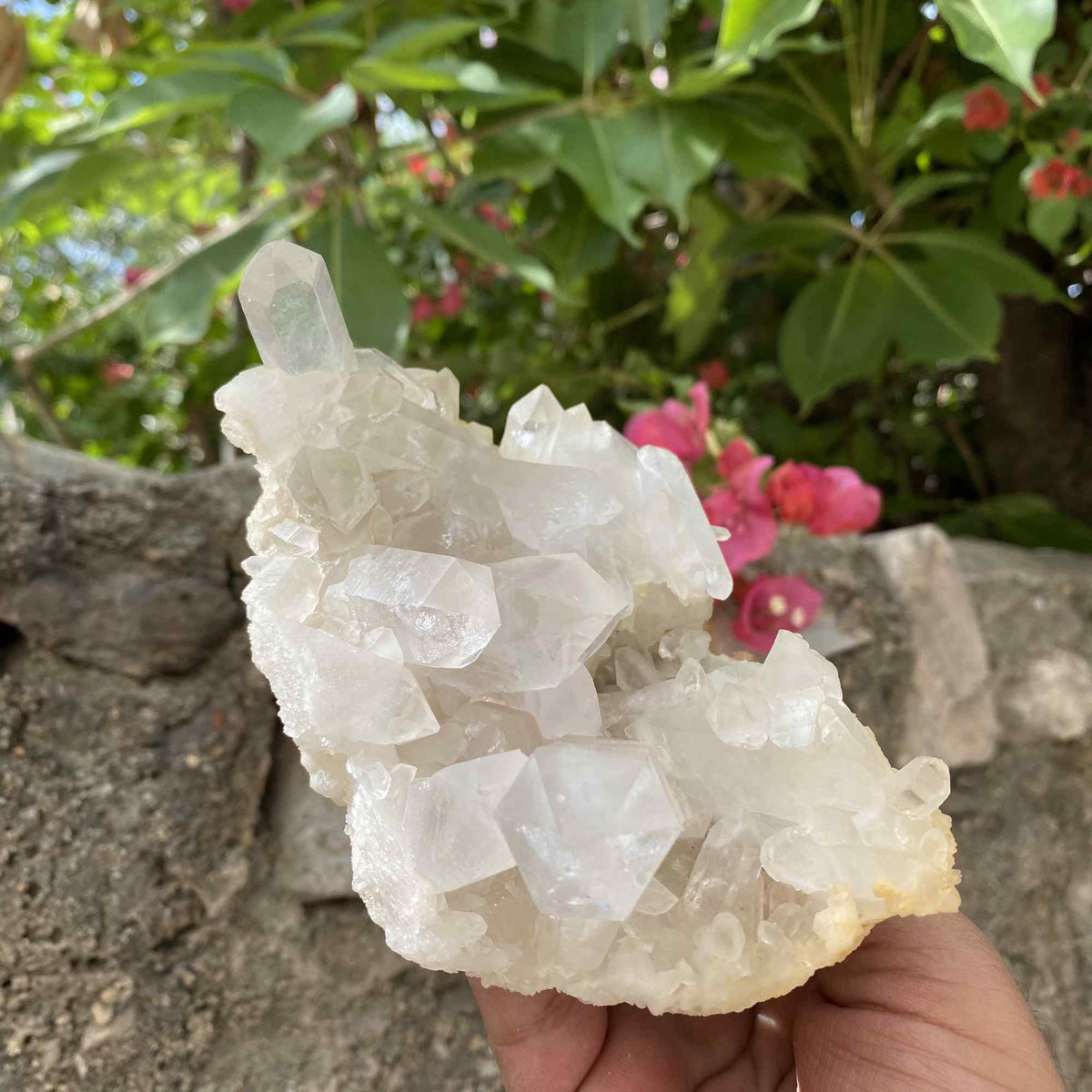Natural Himalayan White Quartz Cluster Raw Mineral Specimen