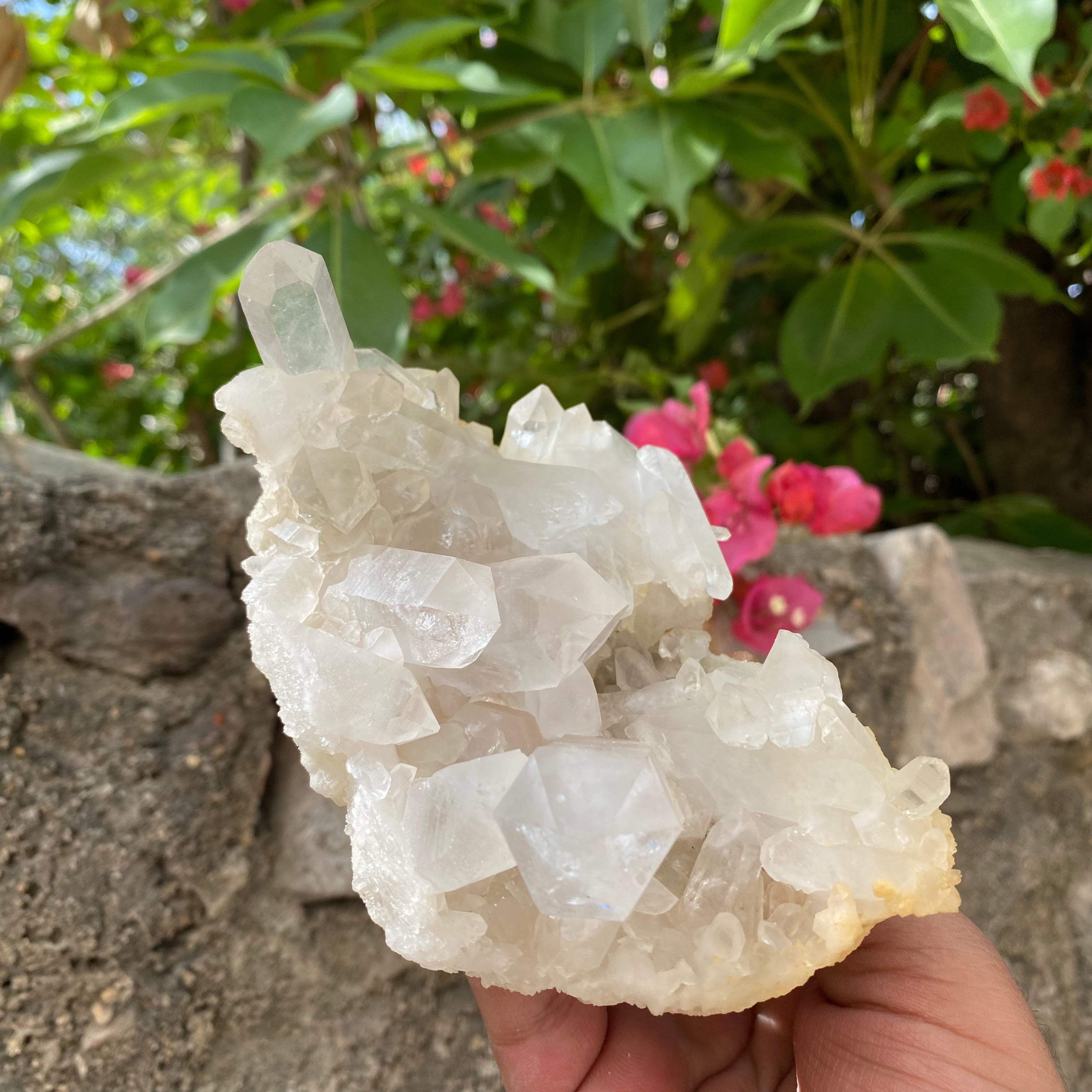 White Natural Himalayan White Quartz Crystal Cluster Healing Energy Specimen