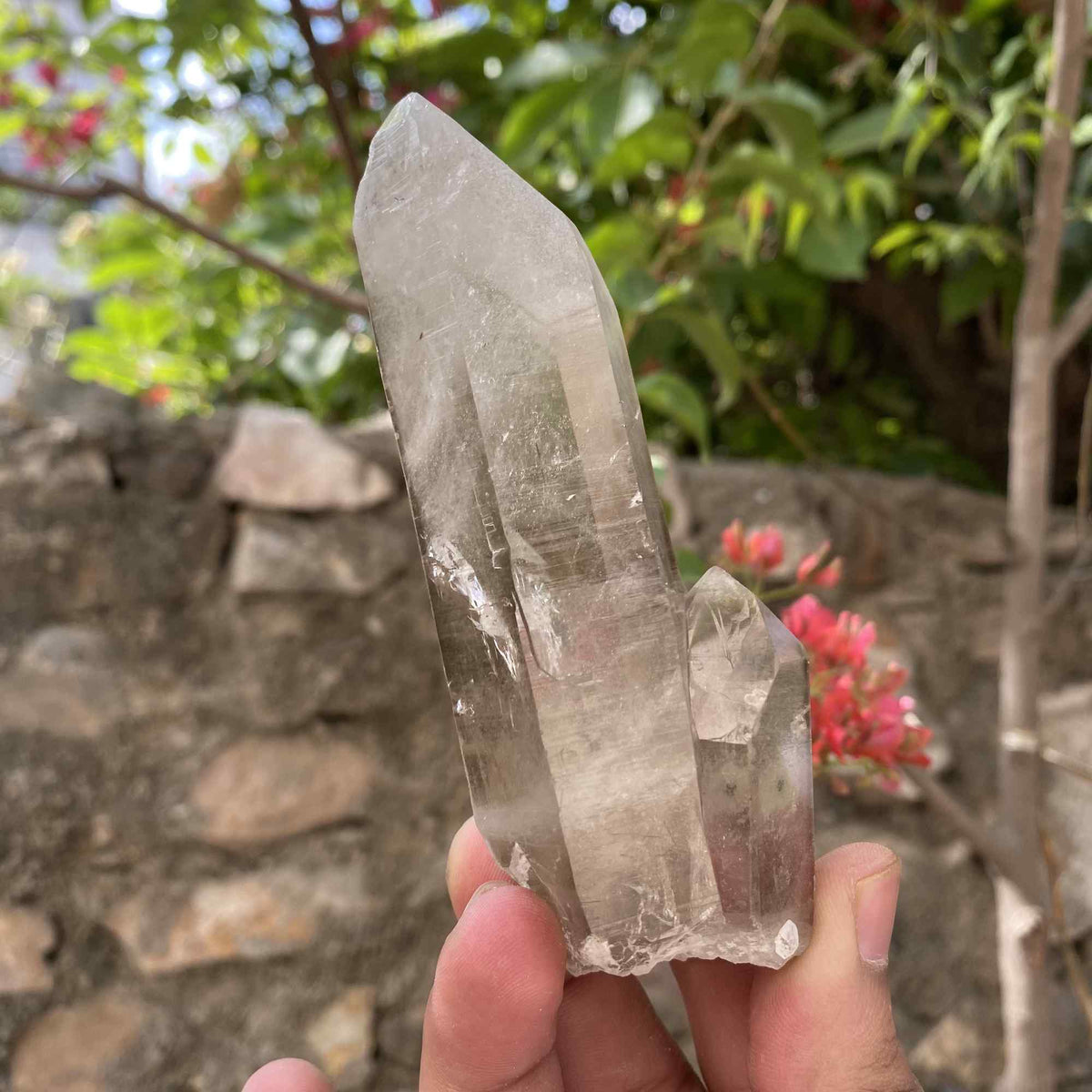 171g Twin Point Himalayan Smoky Quartz Natural Cluster Collector Specimen