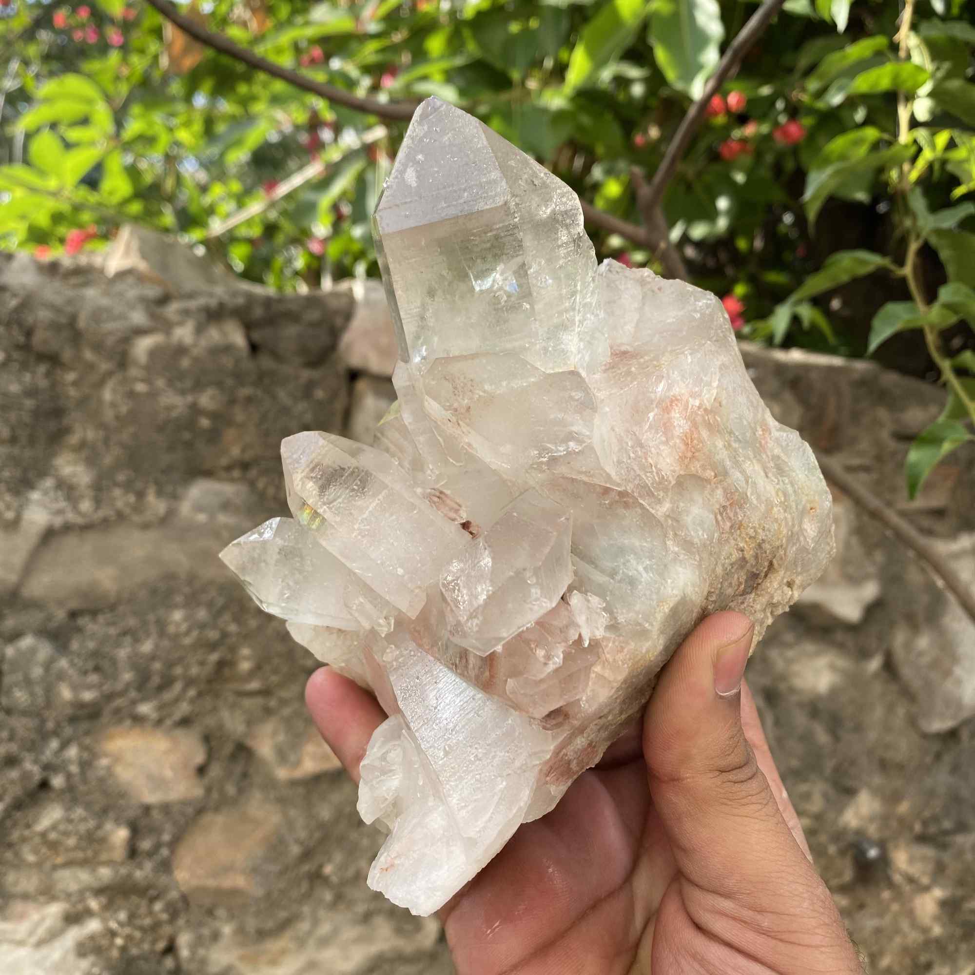 Natural Himalayan Pink Quartz Cluster Raw Mineral Specimen
