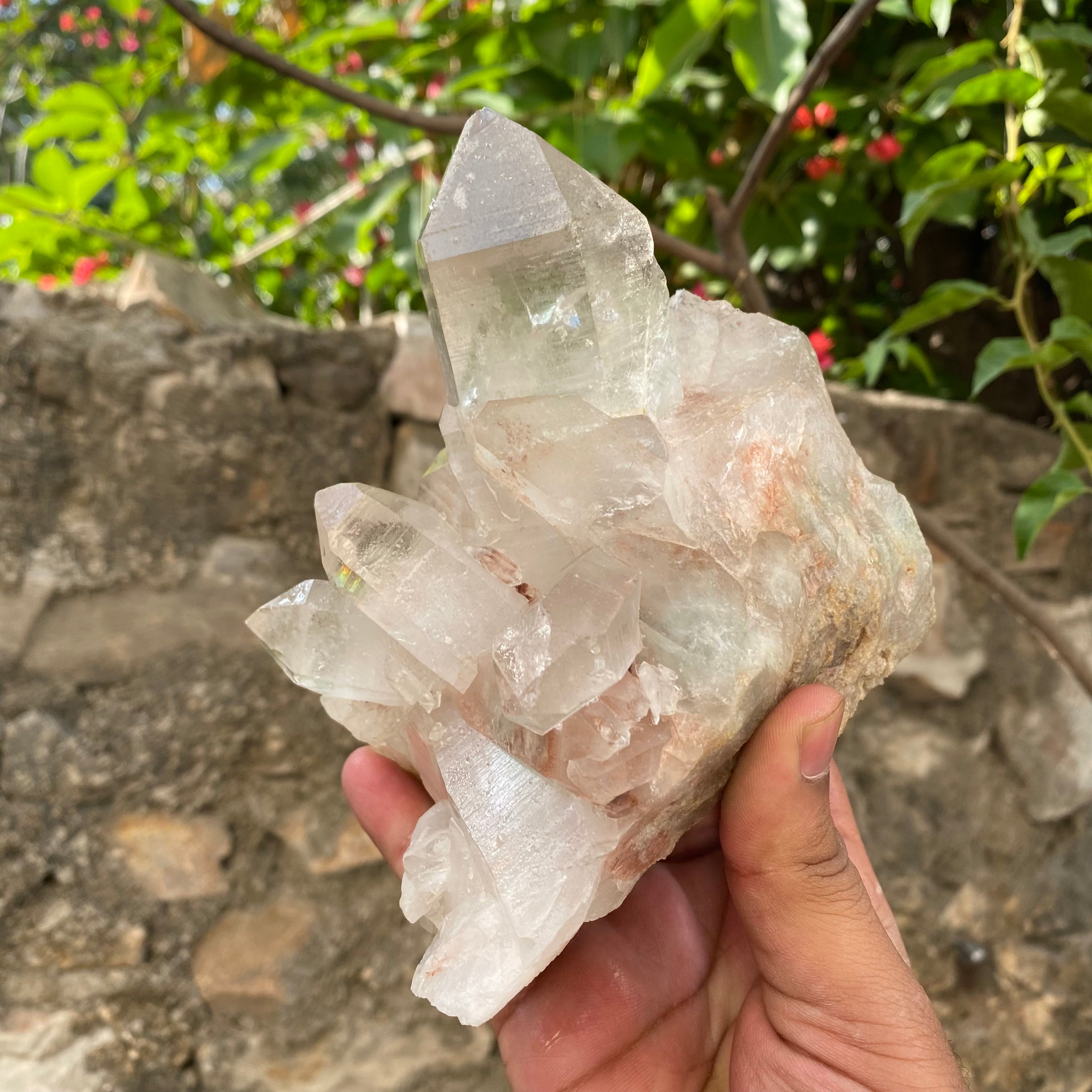 Natural Himalayan Pink Quartz Crystal Cluster Healing Energy Specimen