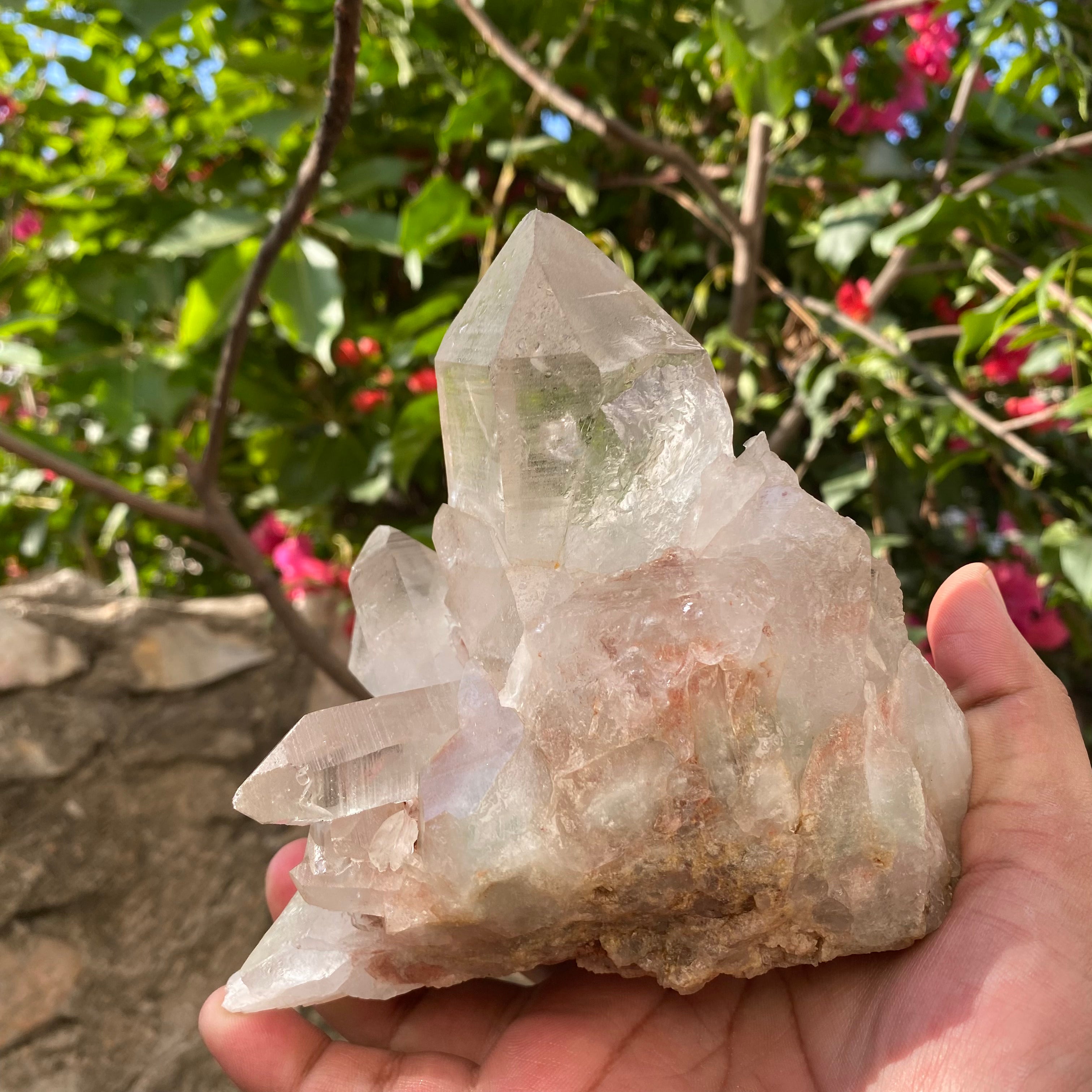 Natural Himalayan Pink Quartz Crystal Cluster Healing Energy Specimen