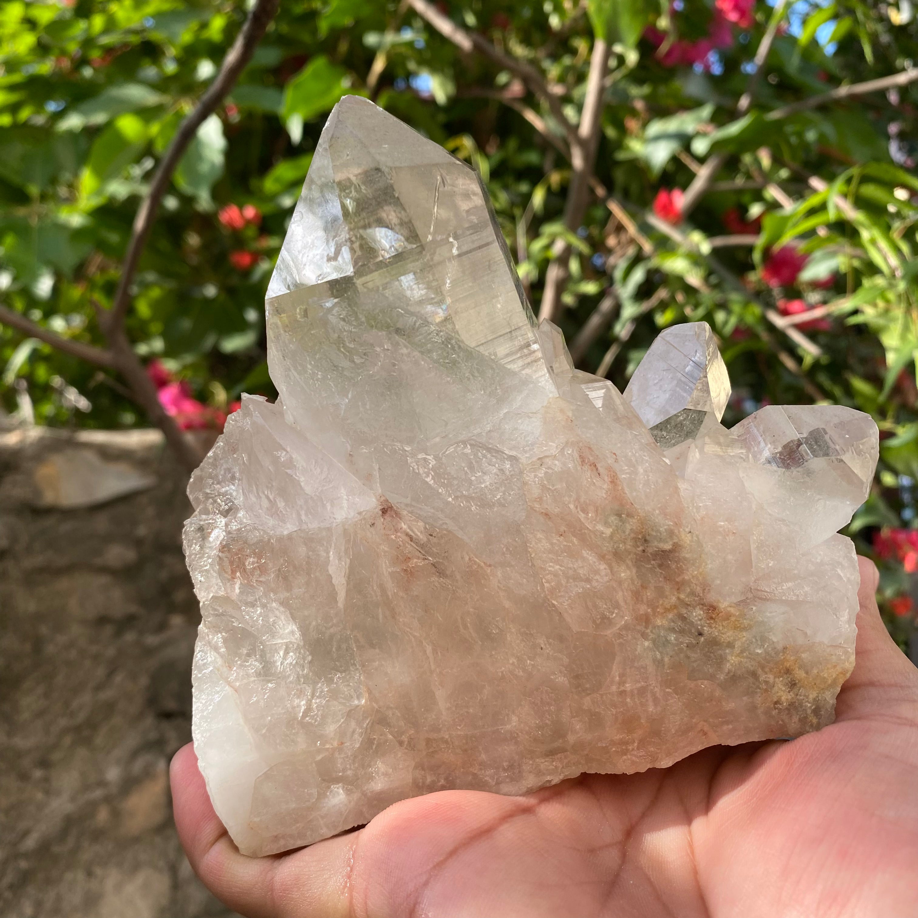 Natural Himalayan Pink Quartz Crystal Cluster Healing Energy Specimen