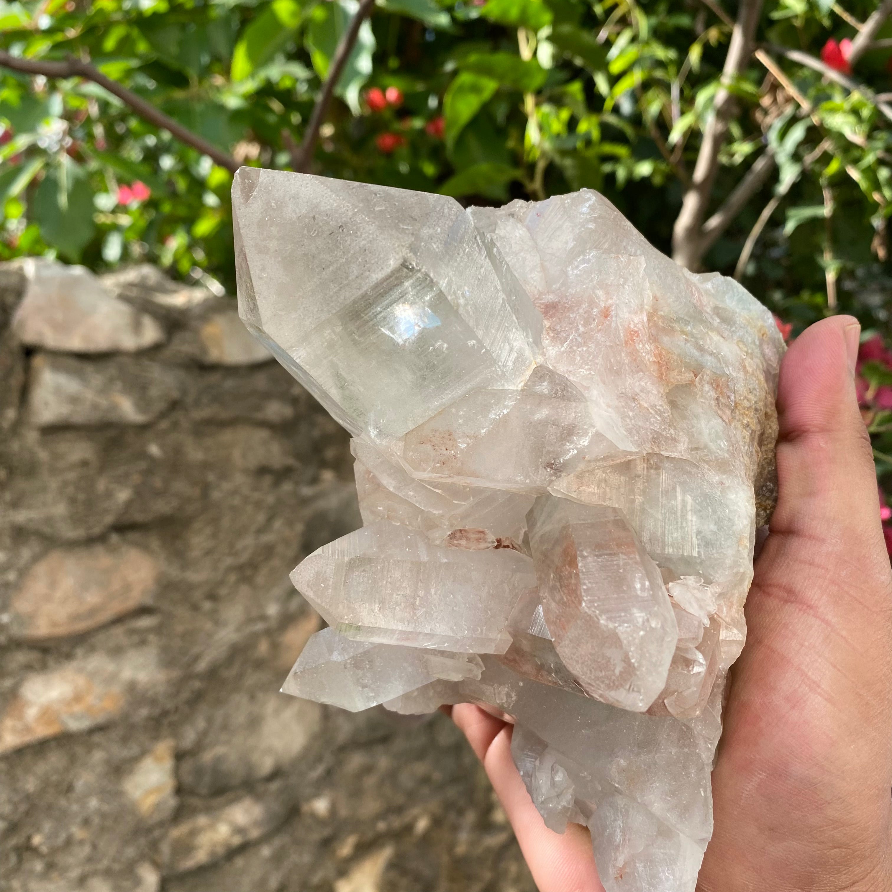 Natural Himalayan Pink Quartz Crystal Cluster Healing Energy Specimen