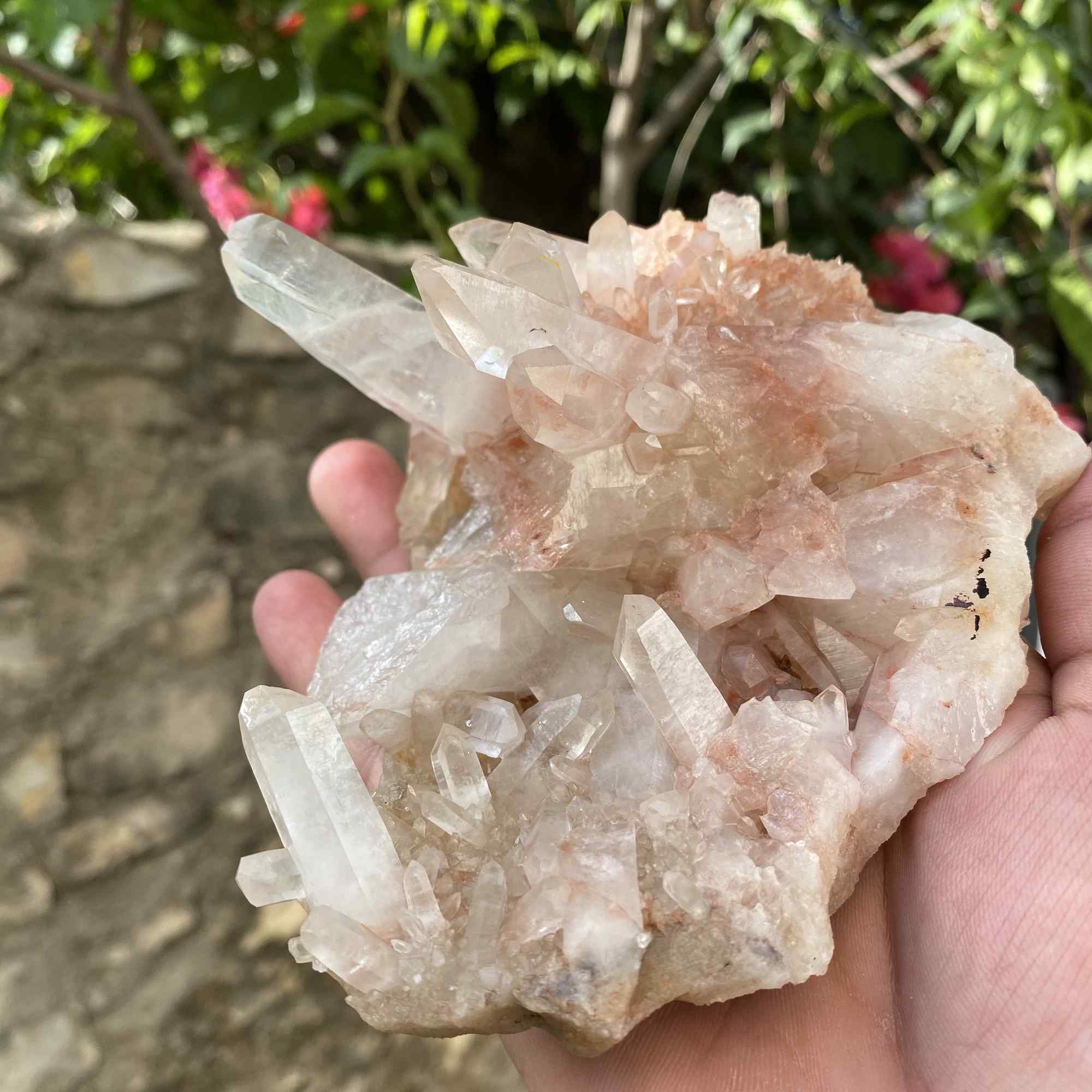 Natural Himalayan Pink Quartz Cluster Raw Mineral Specimen