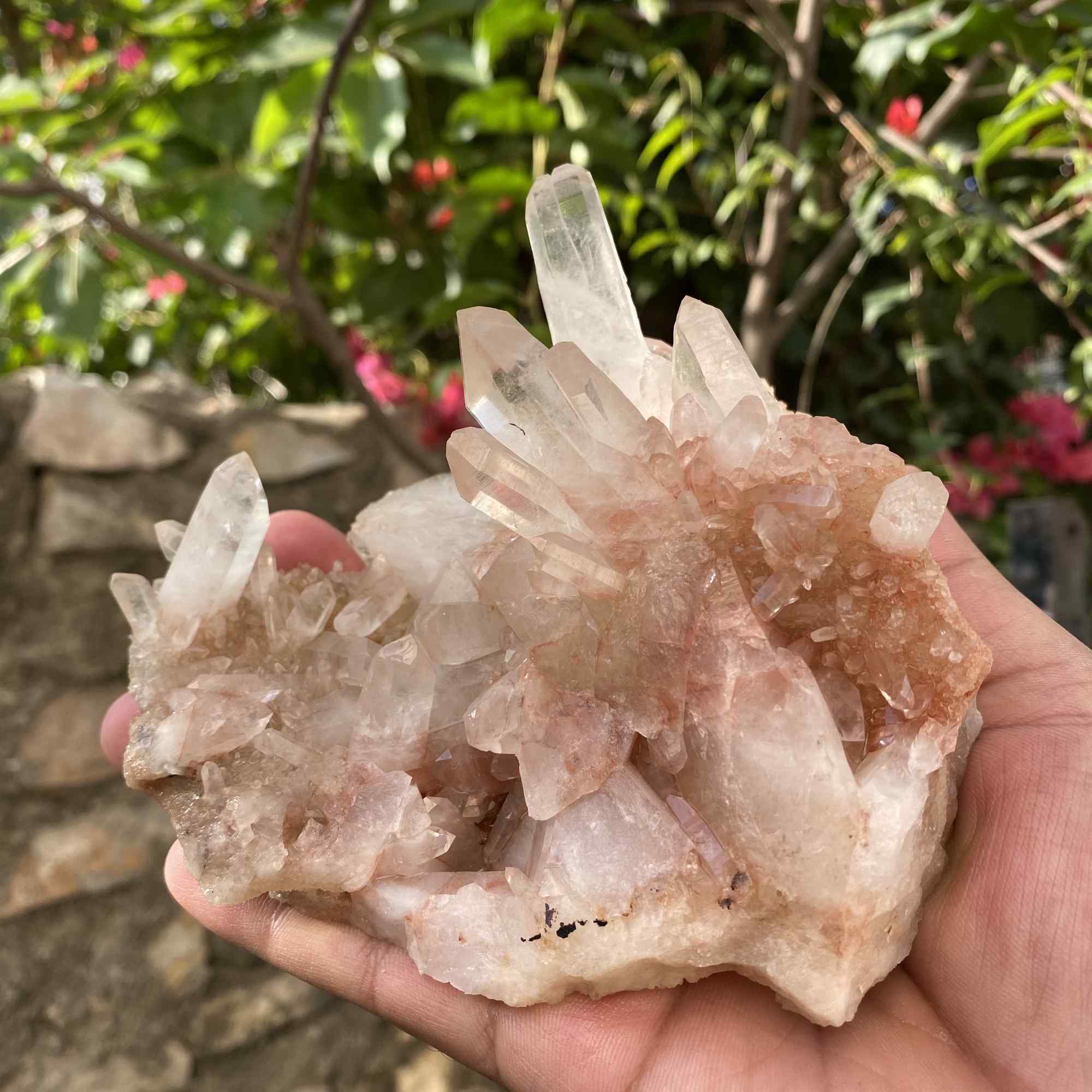 Natural Himalayan Pink Quartz Cluster Raw Mineral Specimen