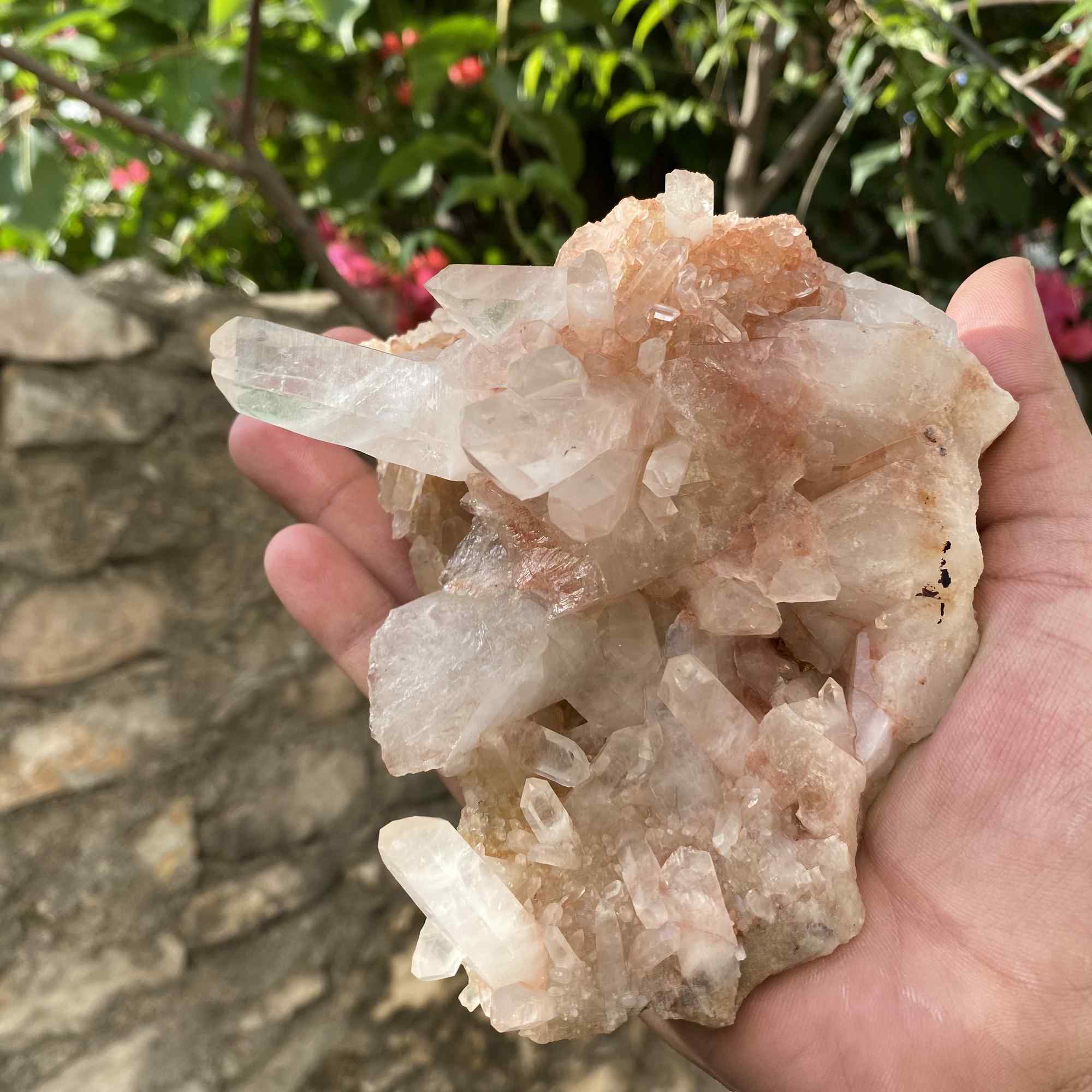 Natural Himalayan Pink Quartz Cluster Raw Mineral Specimen