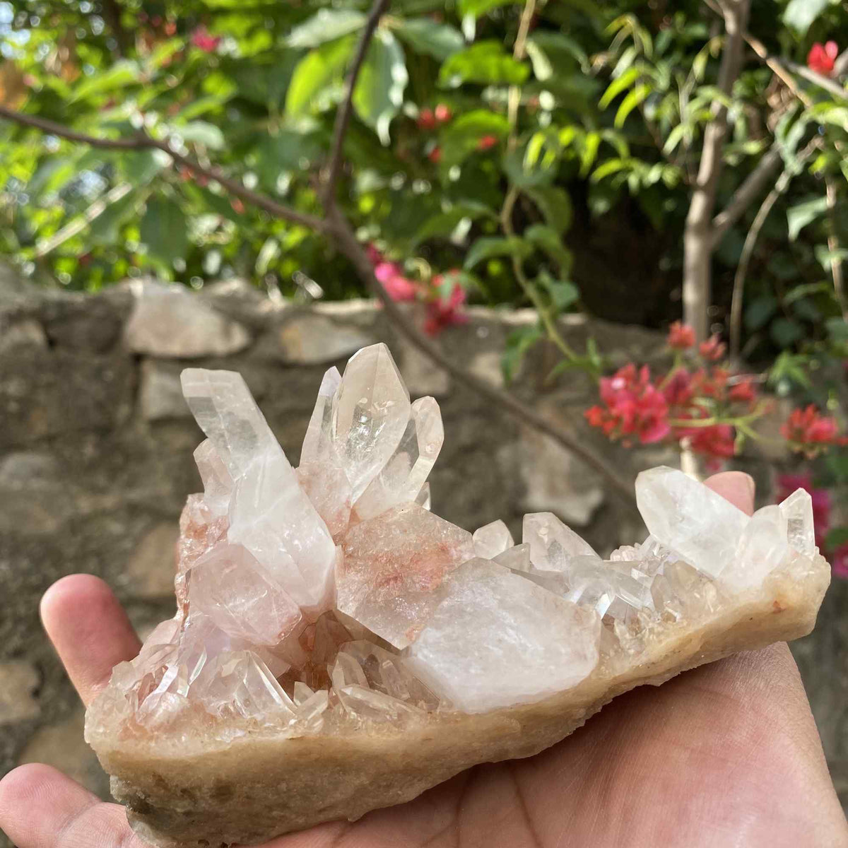Natural Himalayan Pink Quartz Cluster Raw Mineral Specimen