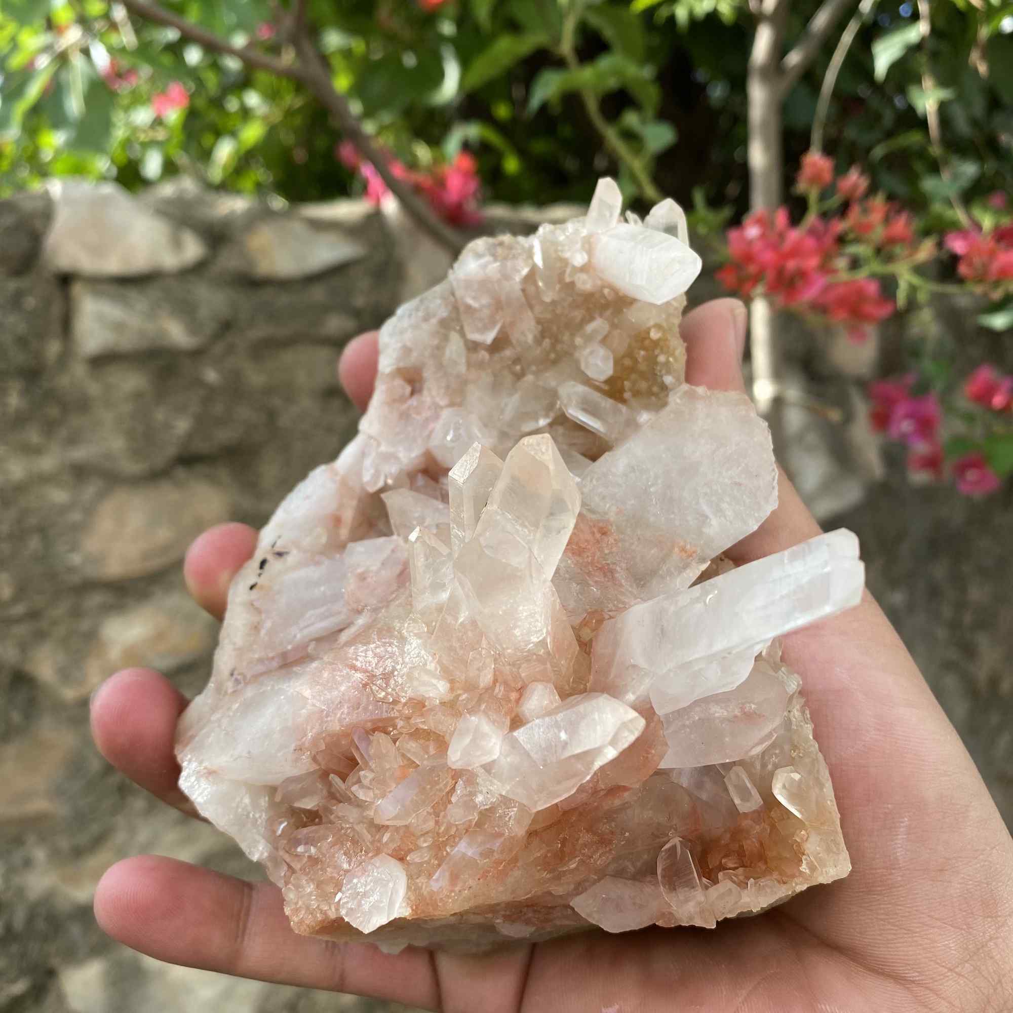 Natural Himalayan Pink Quartz Cluster Raw Mineral Specimen