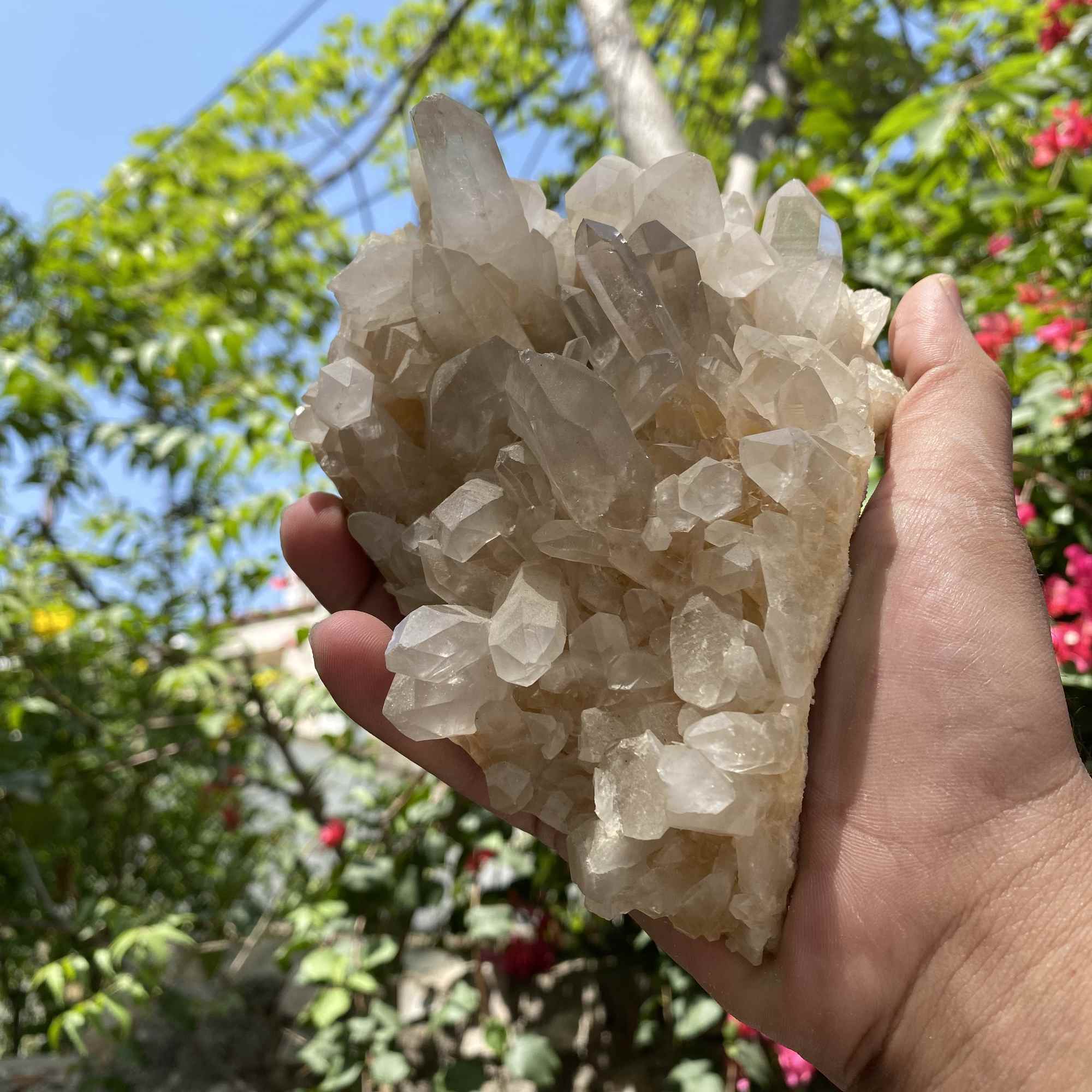White Quartz Himalayan Collector Natural Cluster Raw Mineral Display
