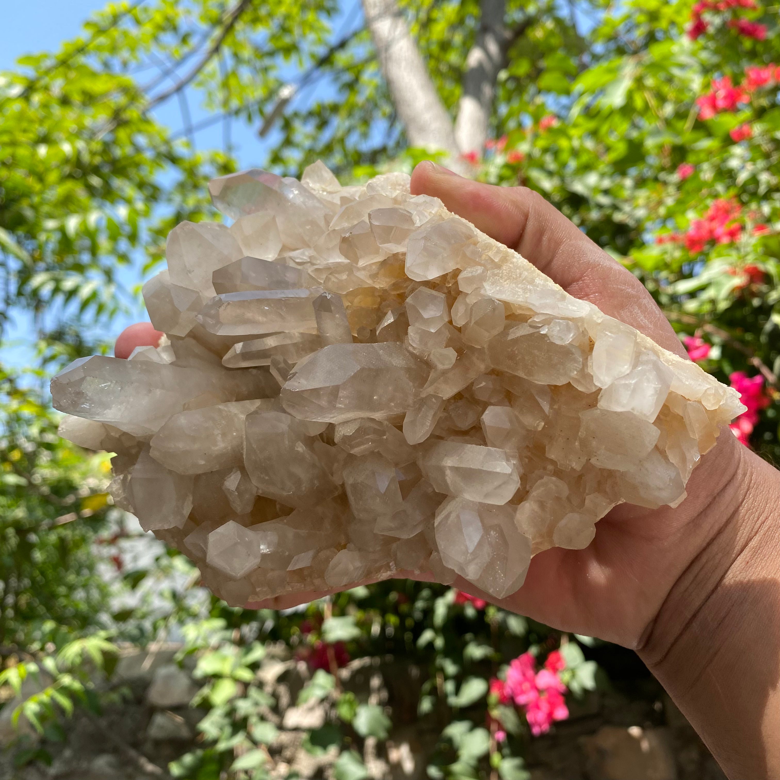 Natural Himalayan White Quartz Crystal Cluster Healing Energy Display Specimen