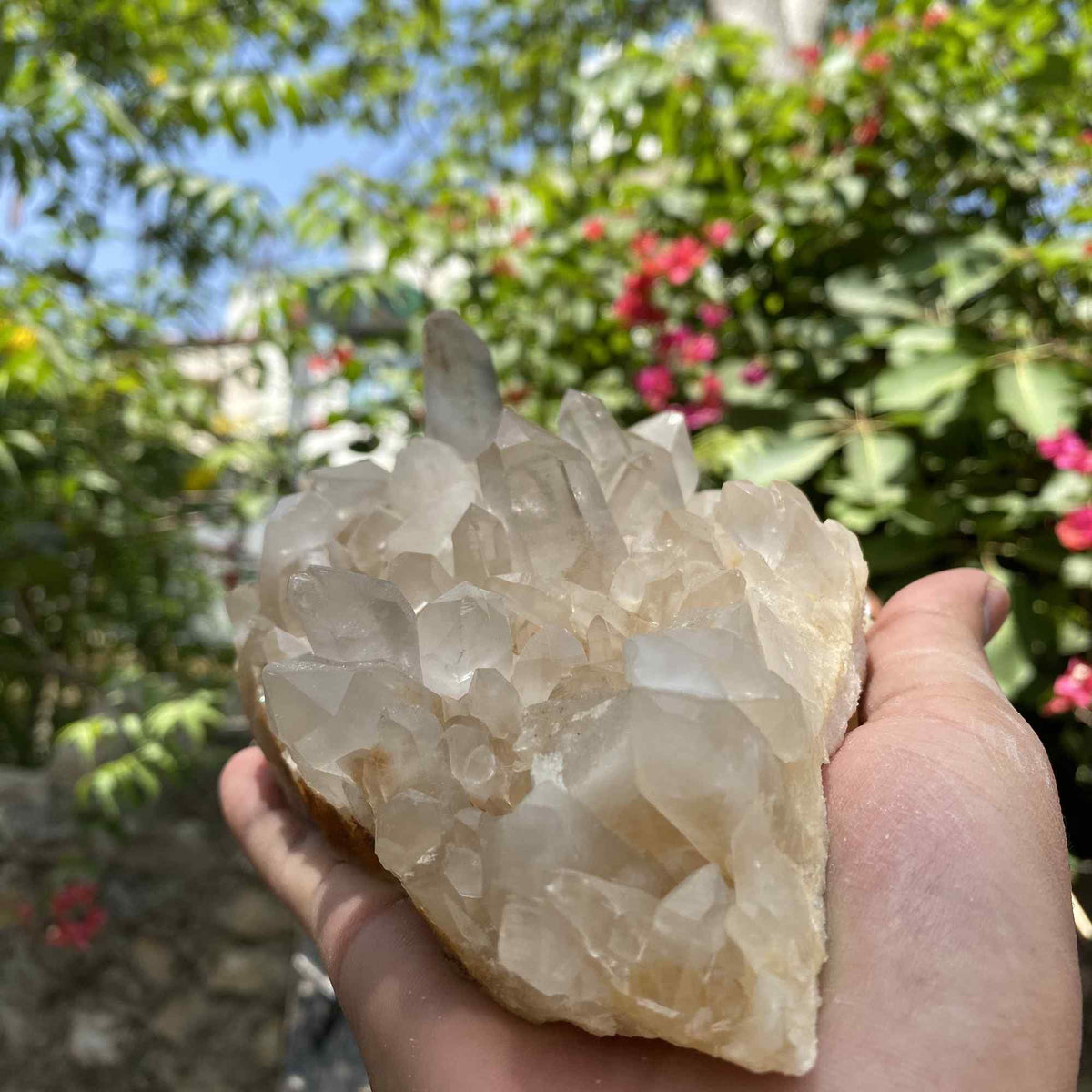 White Quartz Himalayan Collector Natural Cluster Raw Mineral Display