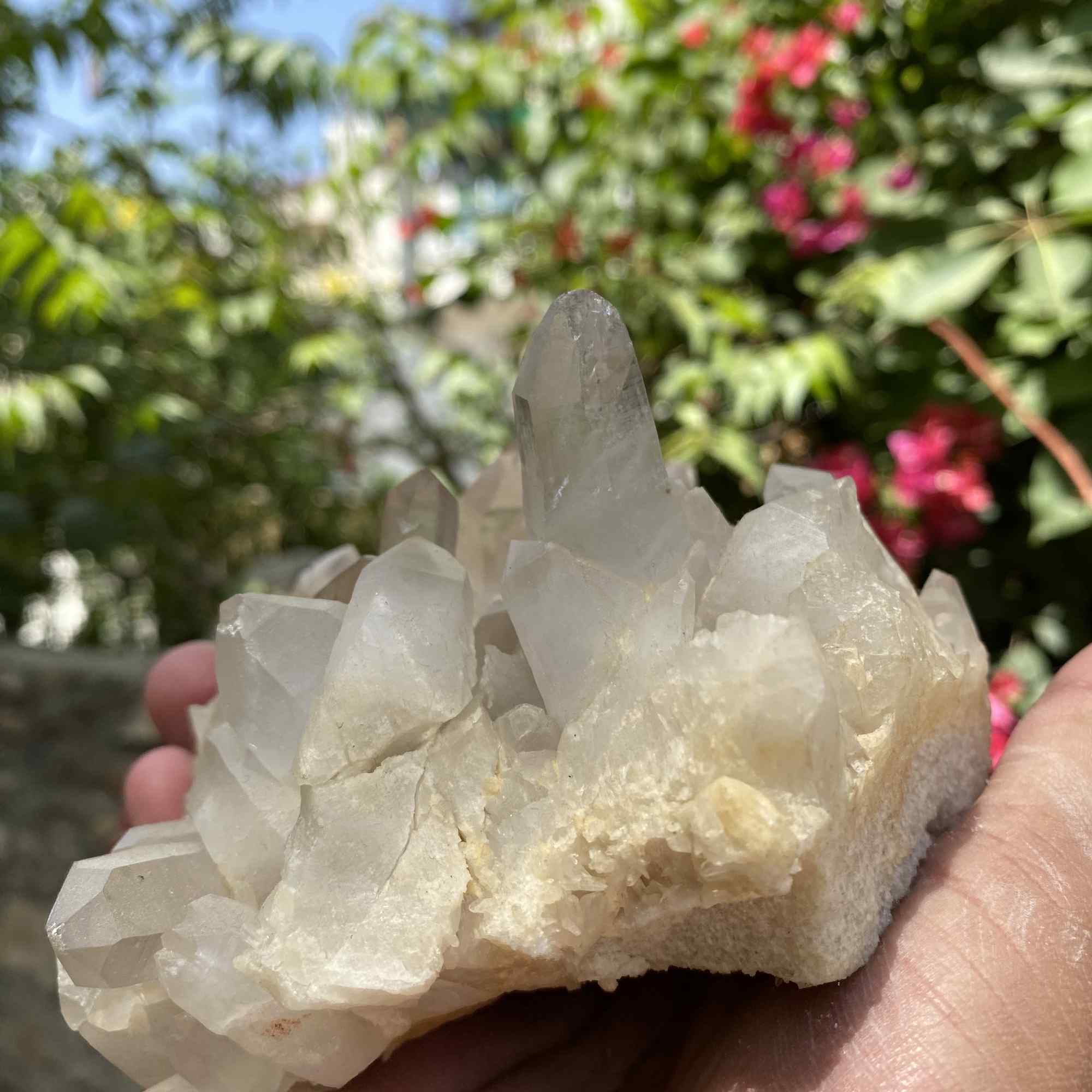 White Quartz Himalayan Collector Natural Cluster Raw Mineral Display