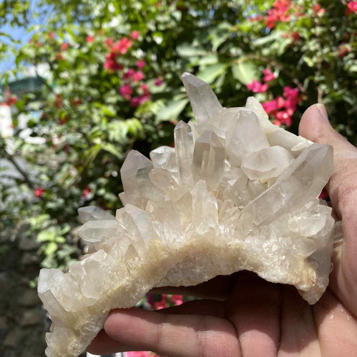 White Quartz Himalayan Collector Natural Cluster Raw Mineral Display