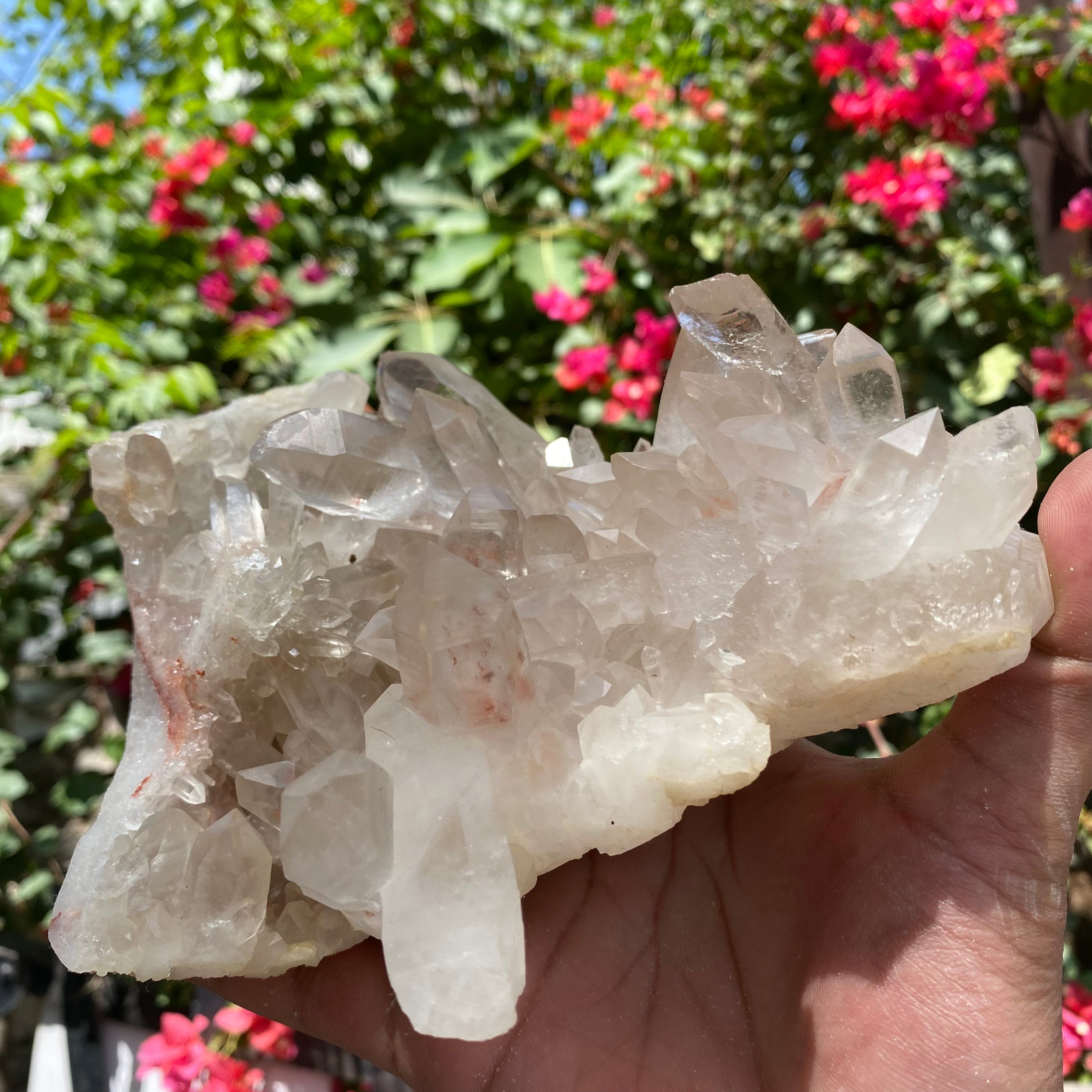 Natural Himalayan White Quartz Crystal Cluster  High Energy Display Specimen