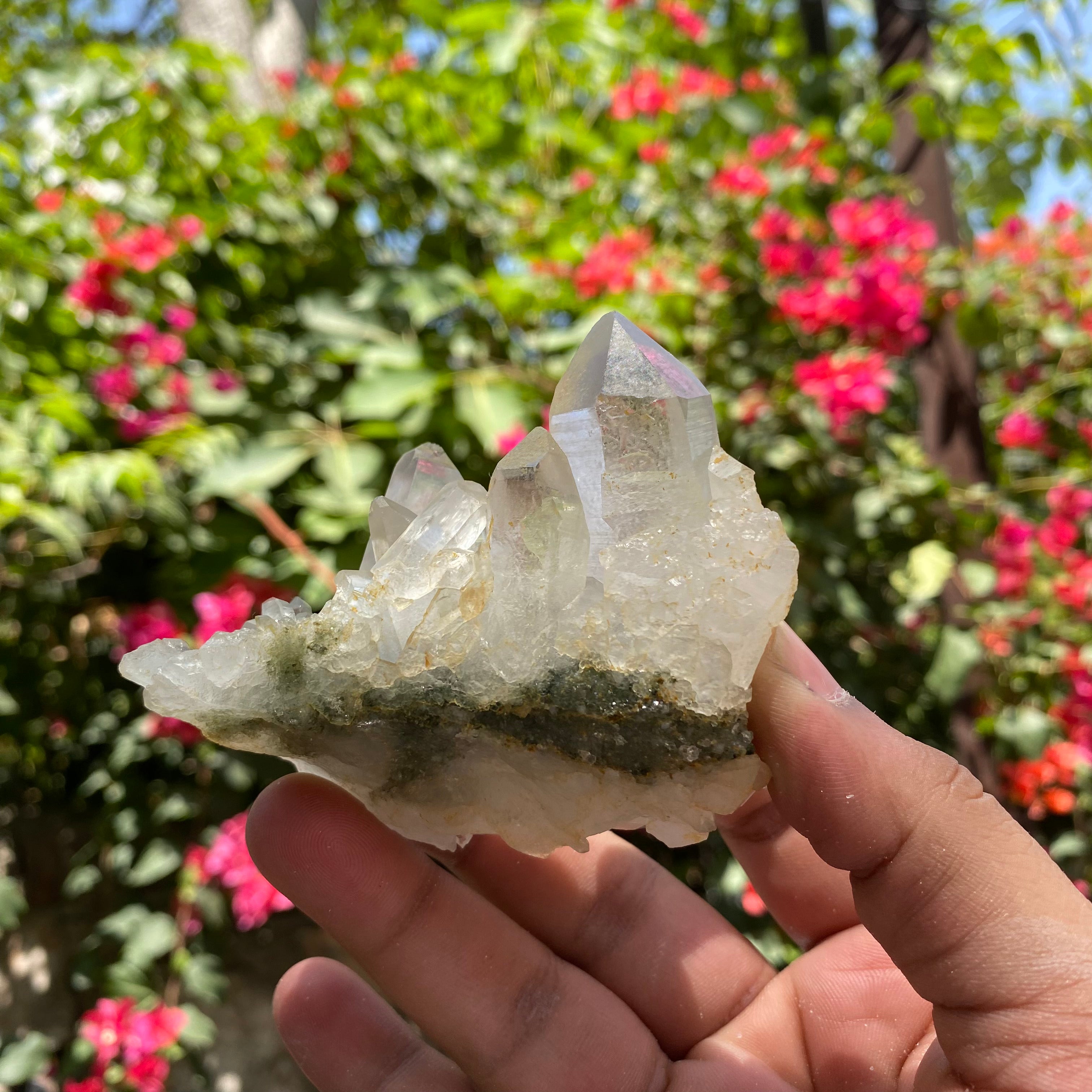 Natural Himalayan Green Chlorite Quartz Crystal Cluster Healing Energy Specimen