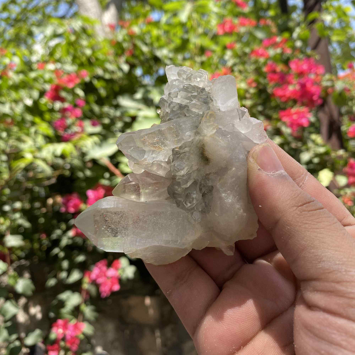 Green Chlorite Quartz Himalayan Natural Cluster Display Collector Specimen