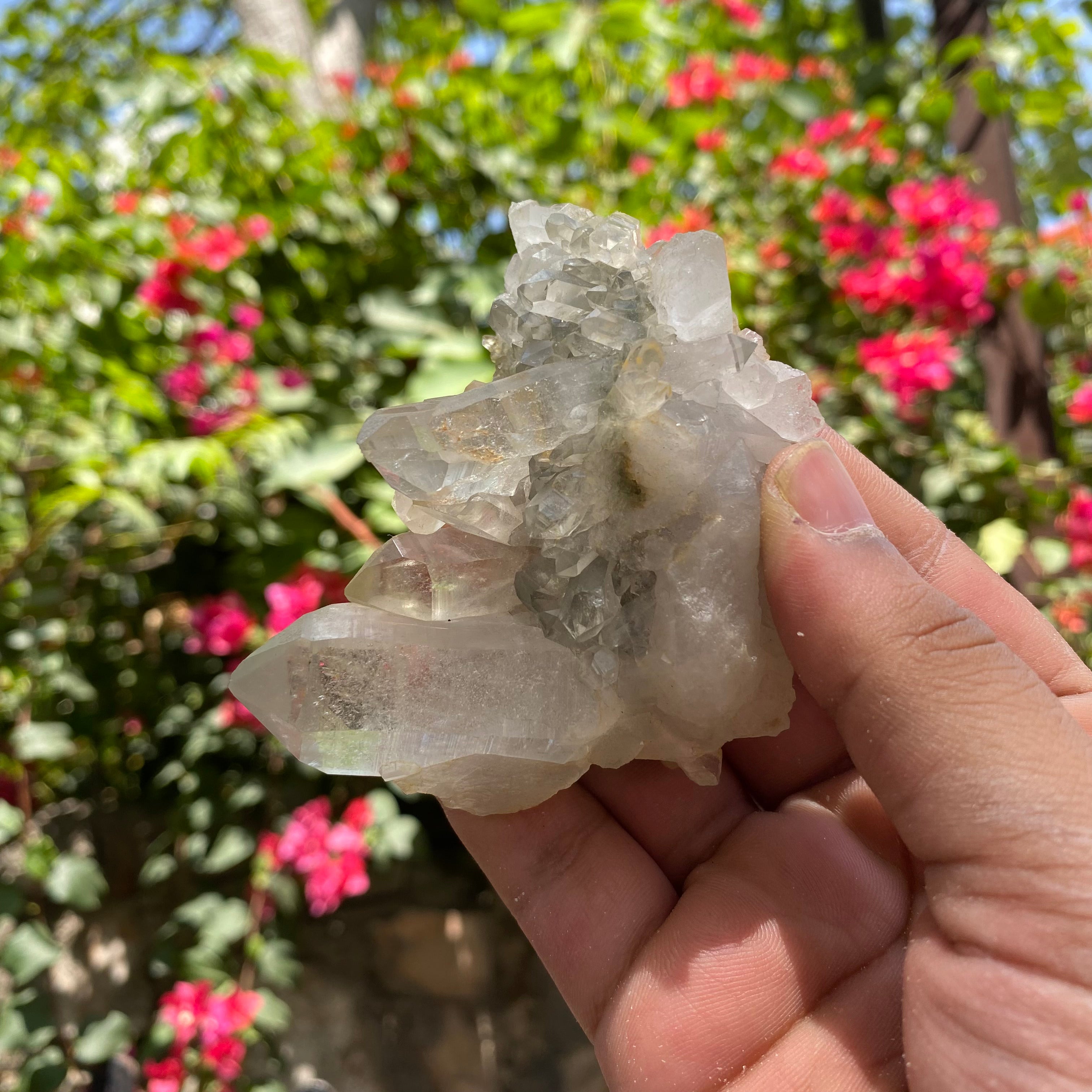 Natural Himalayan Green Chlorite Quartz Crystal Cluster Healing Energy Specimen