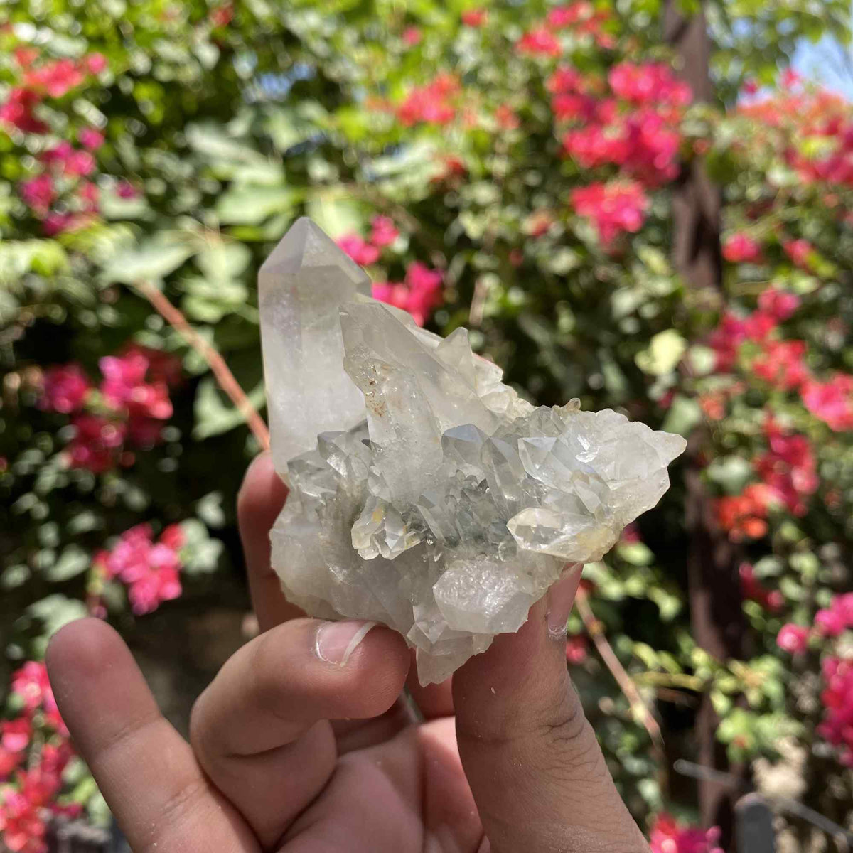 Green Chlorite Quartz Himalayan Natural Cluster Display Collector Specimen