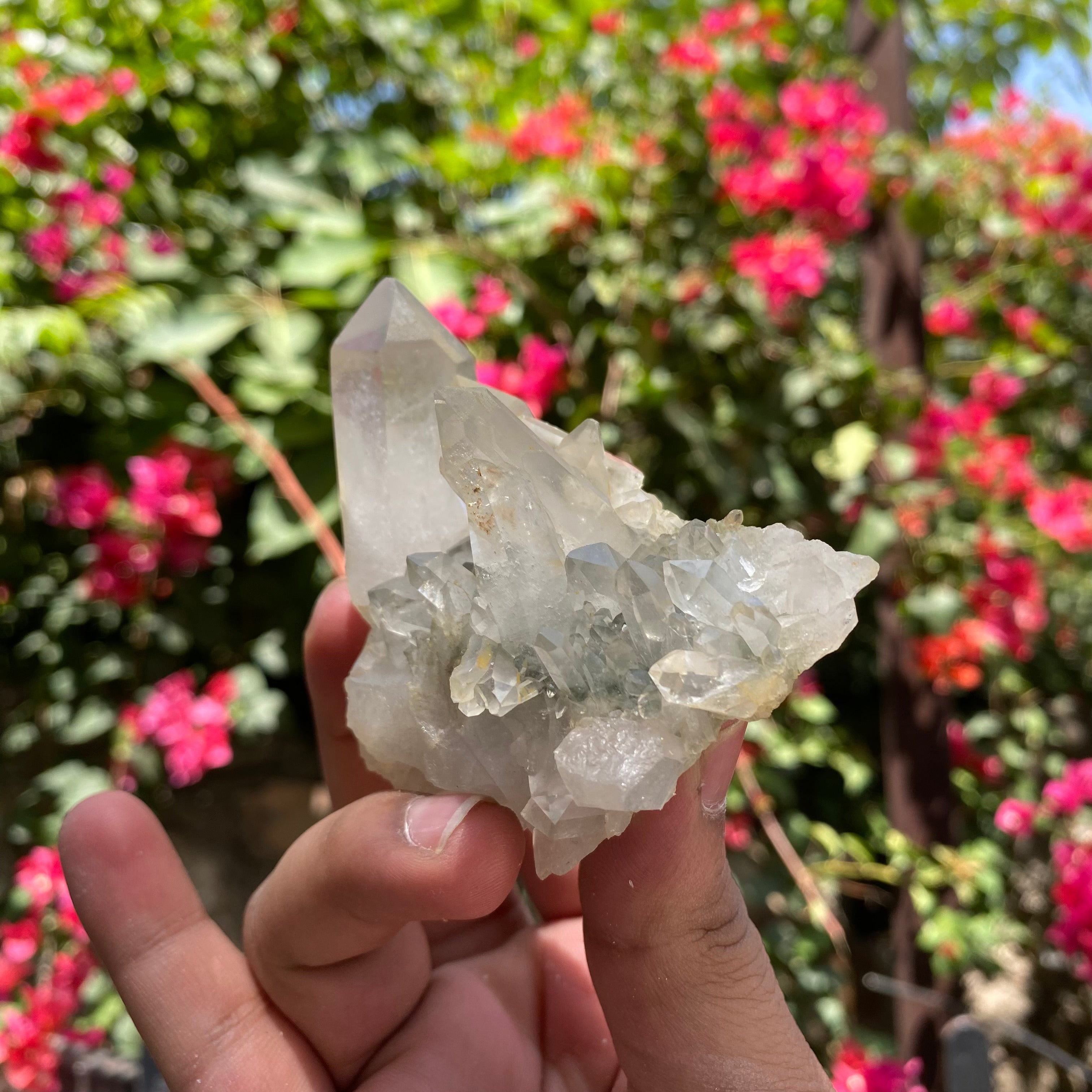 Natural Himalayan Green Chlorite Quartz Crystal Cluster Healing Energy Specimen