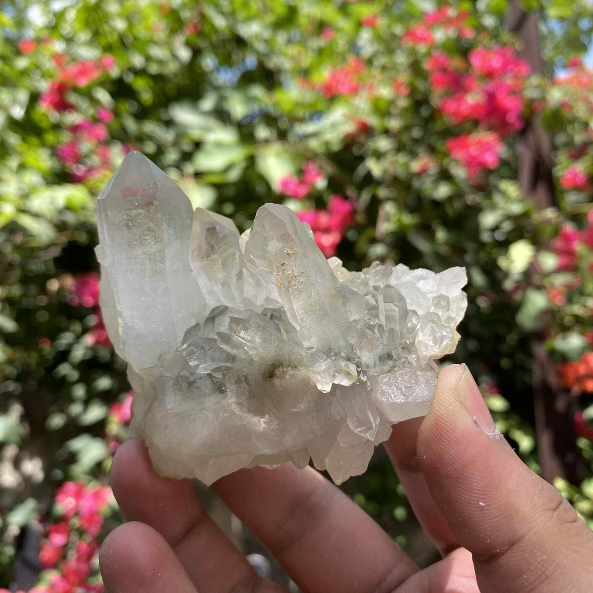 Green Chlorite Quartz Himalayan Natural Cluster Display Collector Specimen