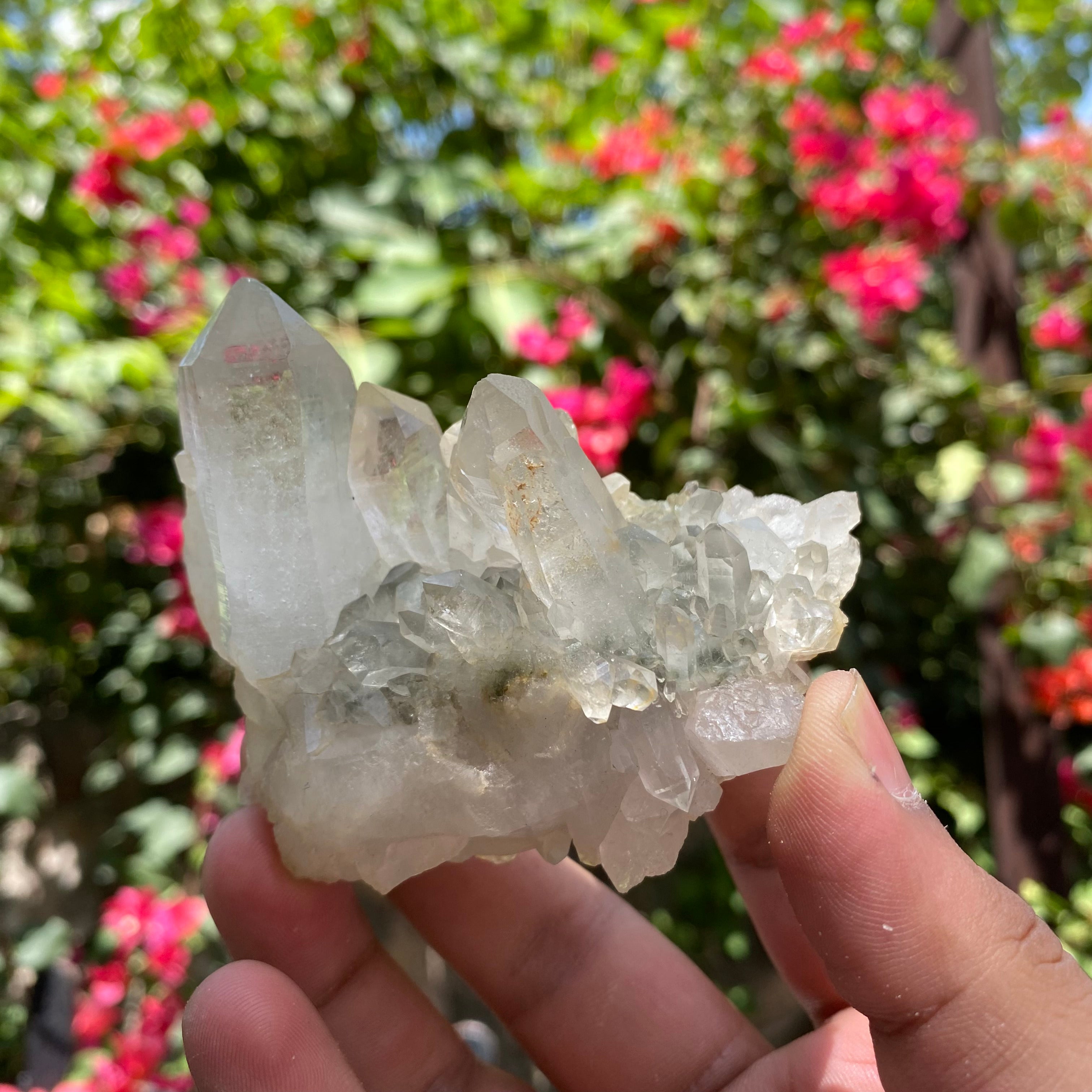 Natural Himalayan Green Chlorite Quartz Crystal Cluster Healing Energy Specimen