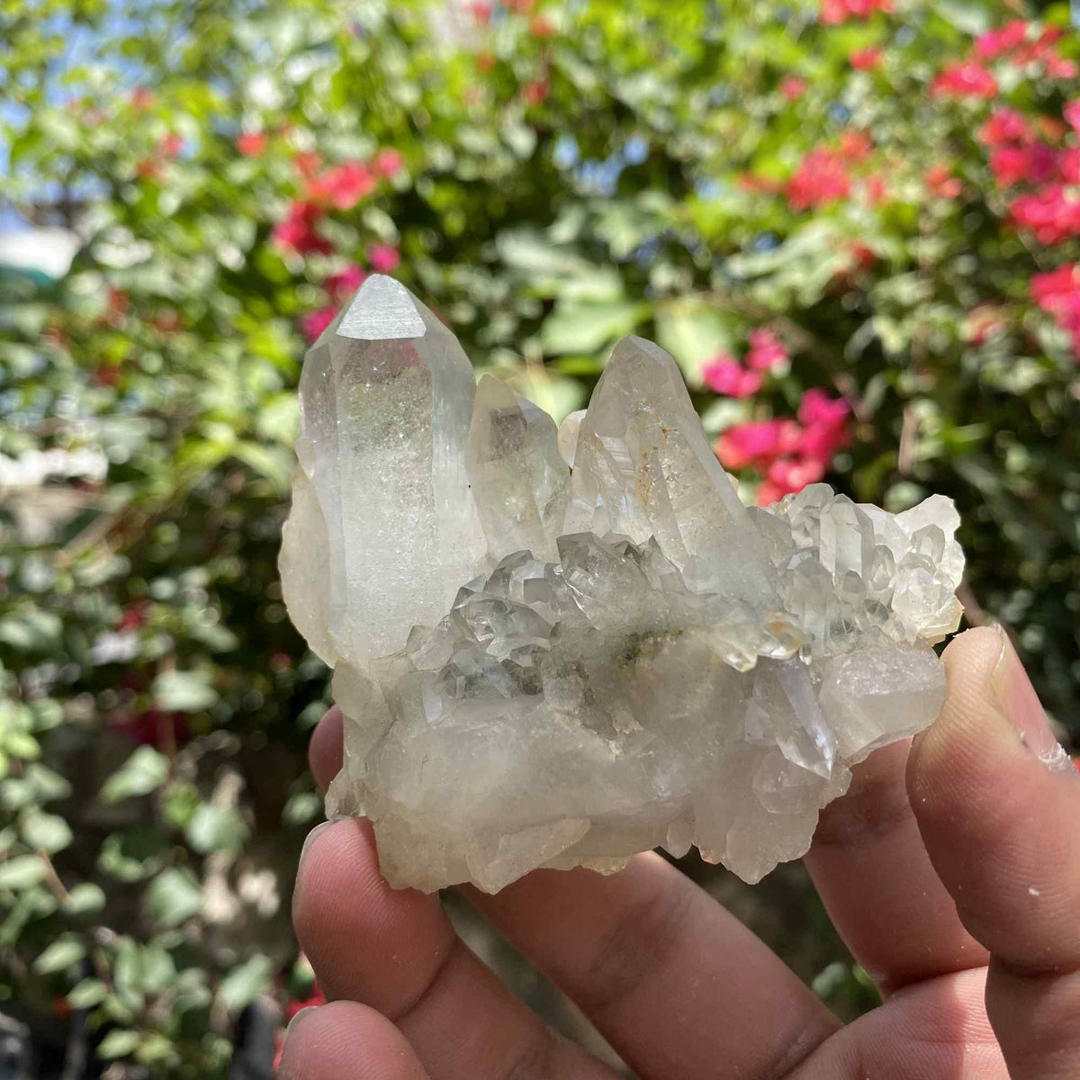 Green Chlorite Quartz Himalayan Natural Cluster Display Collector Specimen