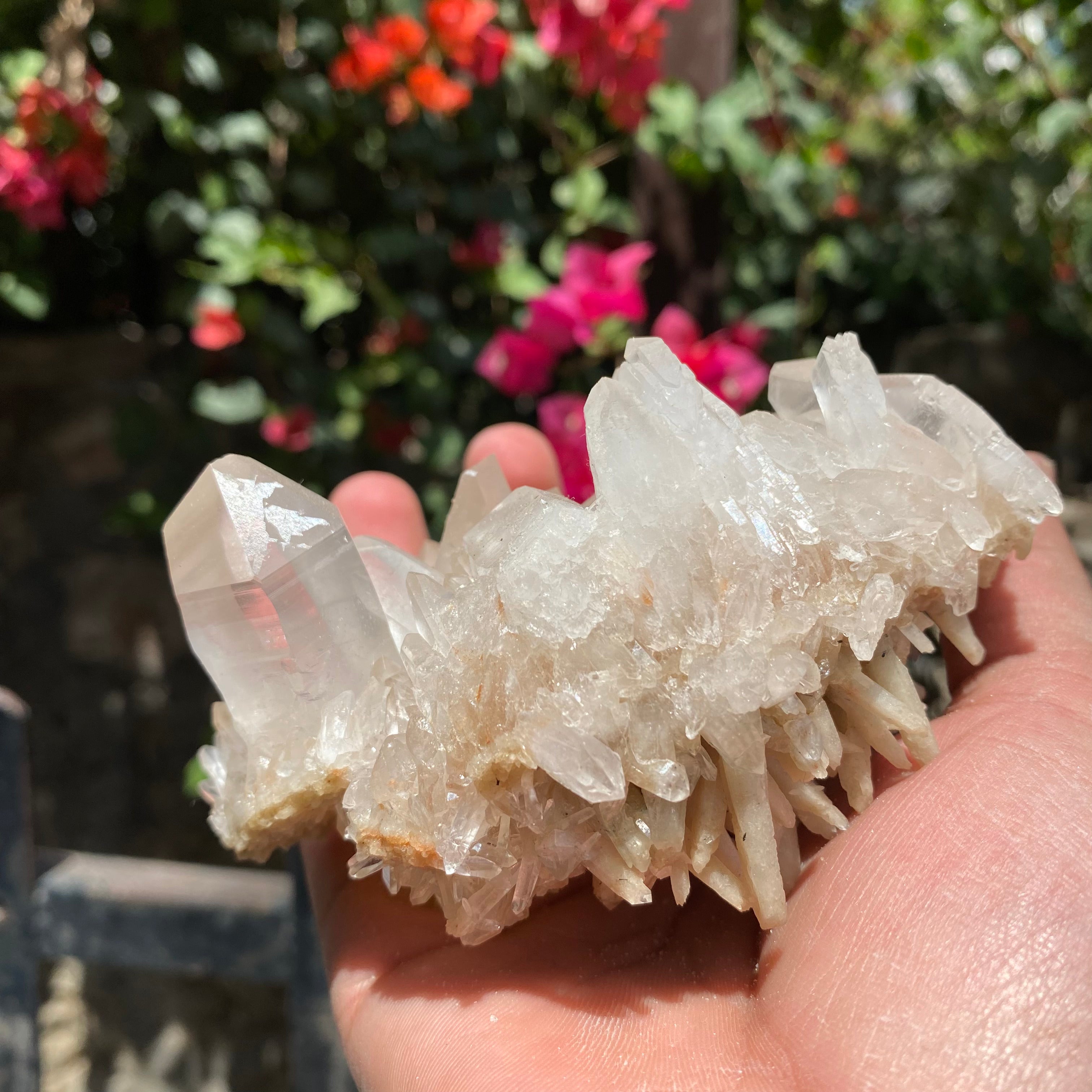 Natural Himalayan Pink Quartz Crystal Cluster with White Phantom Healing Energy Specimen