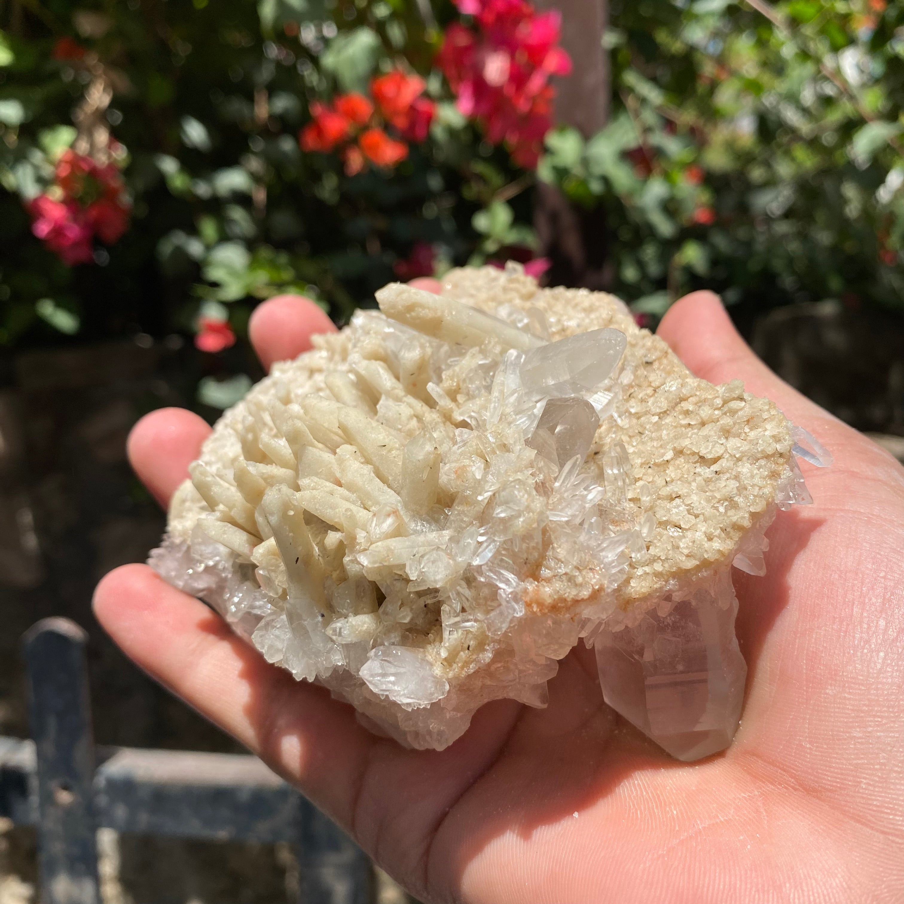 Natural Himalayan Pink Quartz Crystal Cluster with White Phantom Healing Energy Specimen