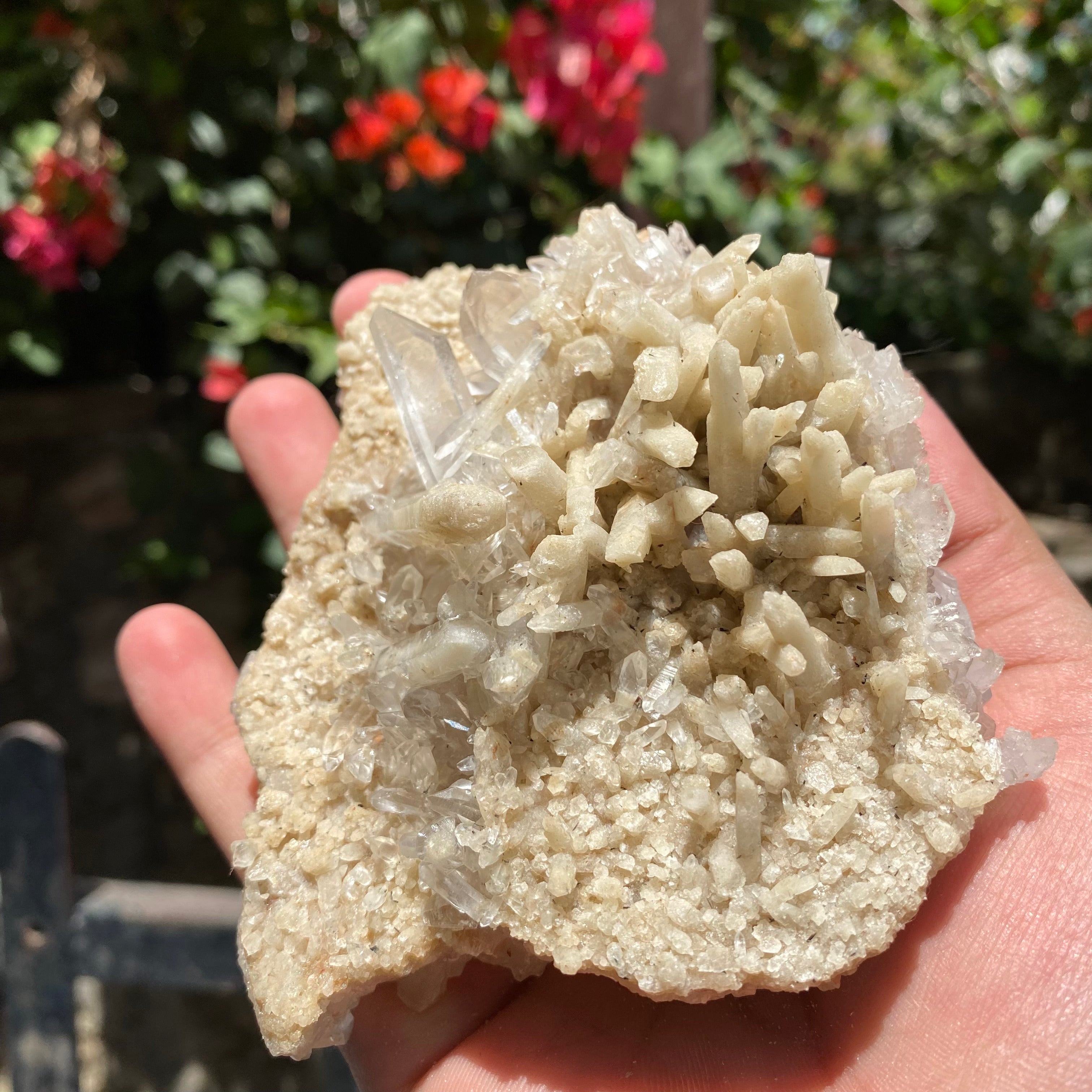 Natural Himalayan Pink Quartz Crystal Cluster with White Phantom Healing Energy Specimen