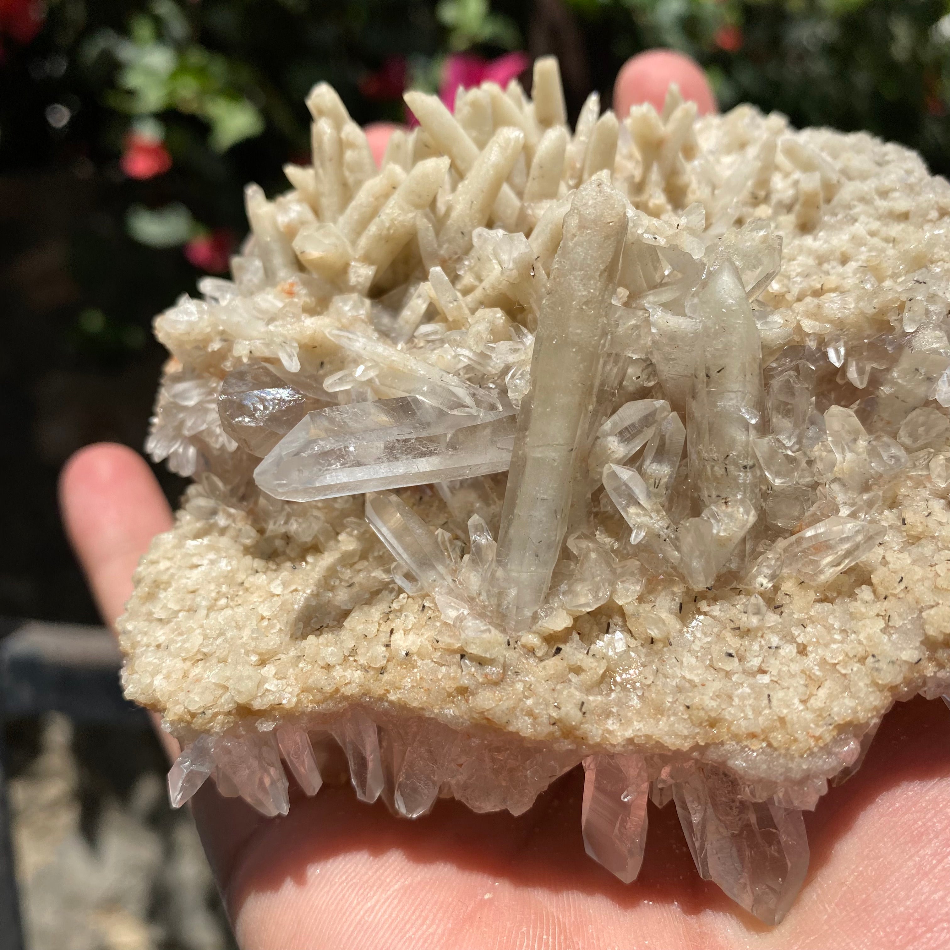 Natural Himalayan Pink Quartz Crystal Cluster with White Phantom Healing Energy Specimen